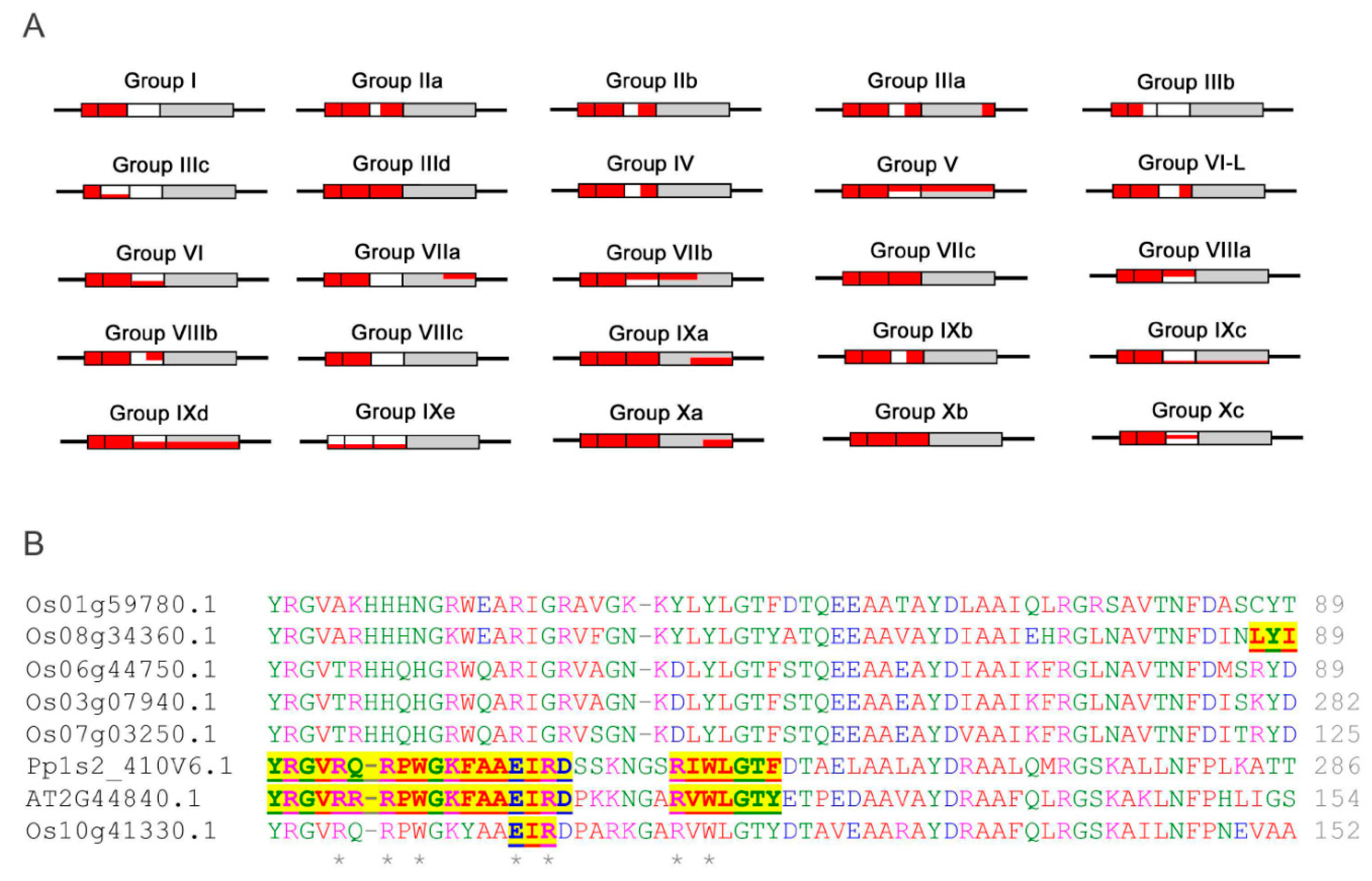 Ijms 21 00074 g010 Ijms 21 00074 g010