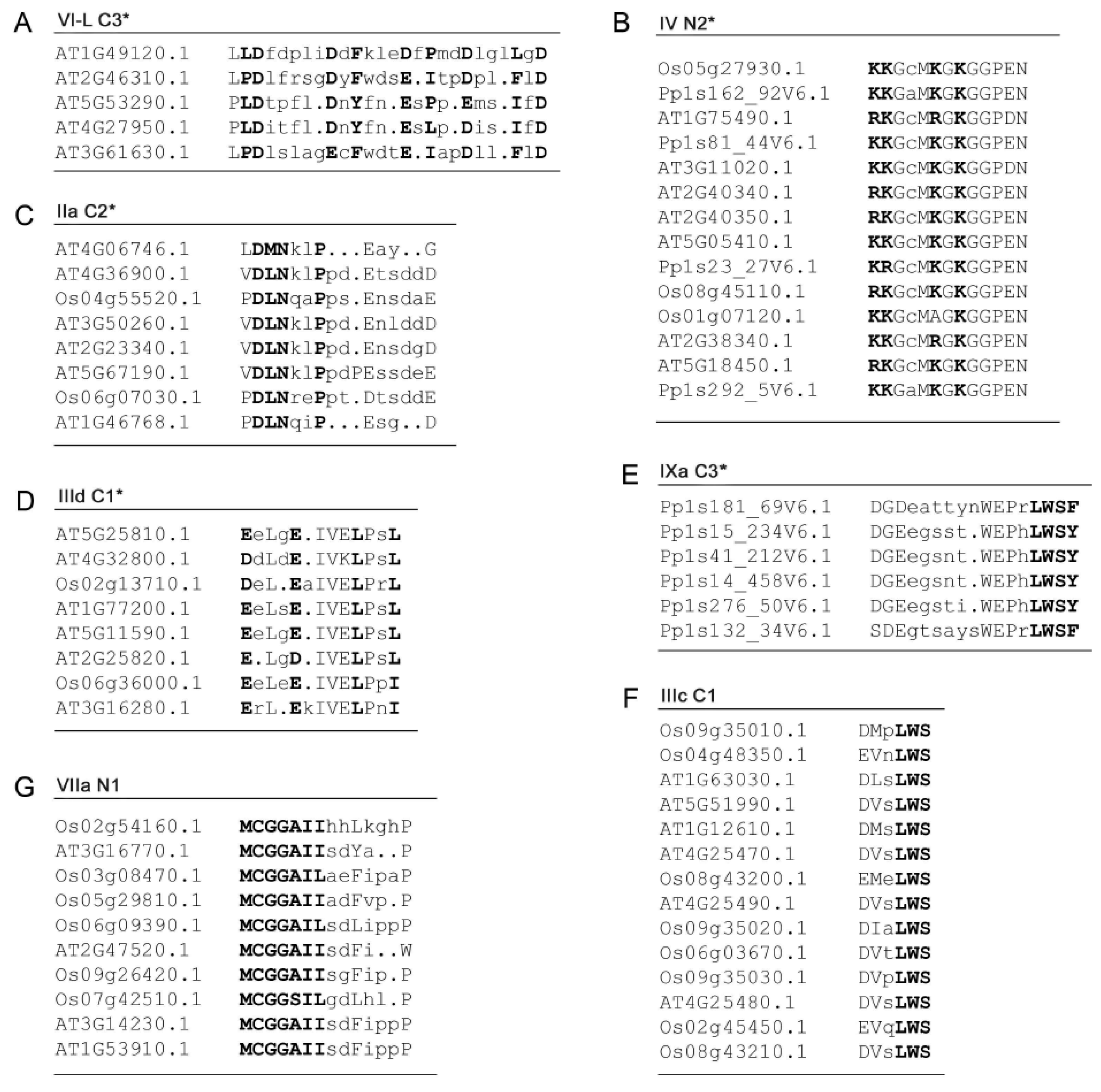 Ijms 21 00074 g011 Ijms 21 00074 g011