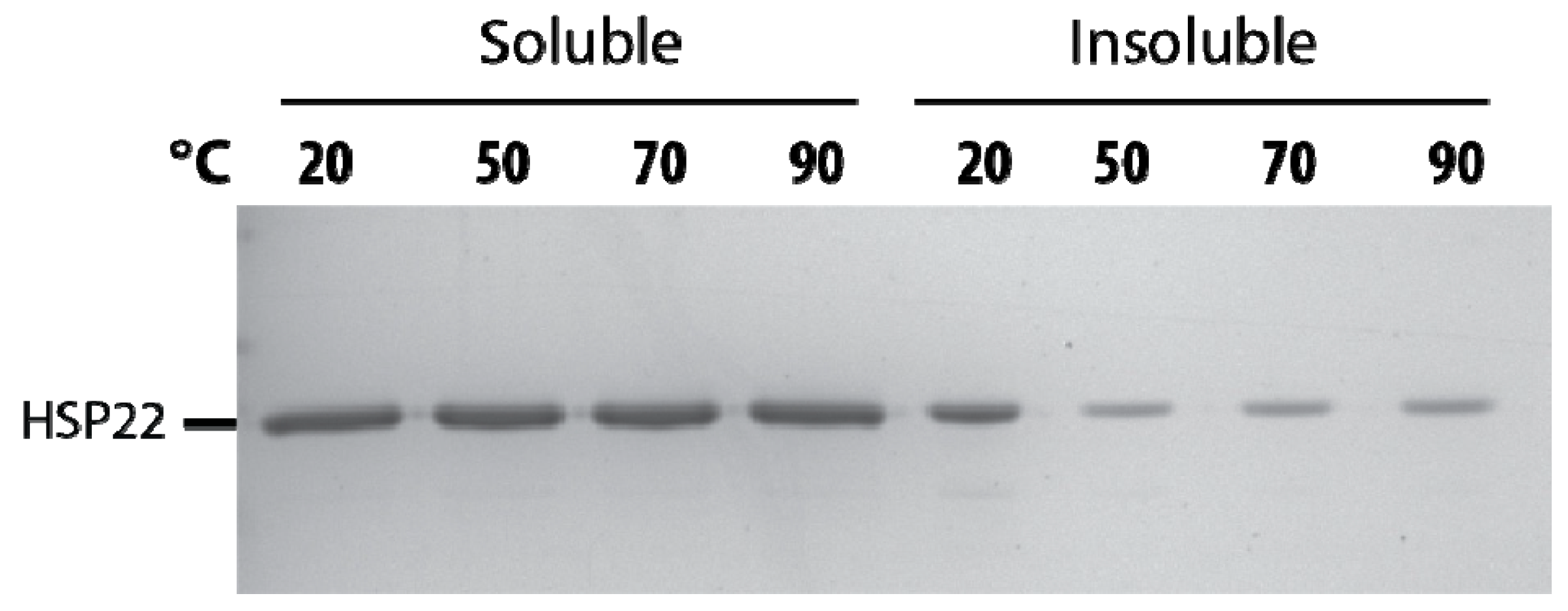 Ijms 21 00097 g004 Ijms 21 00097 g004