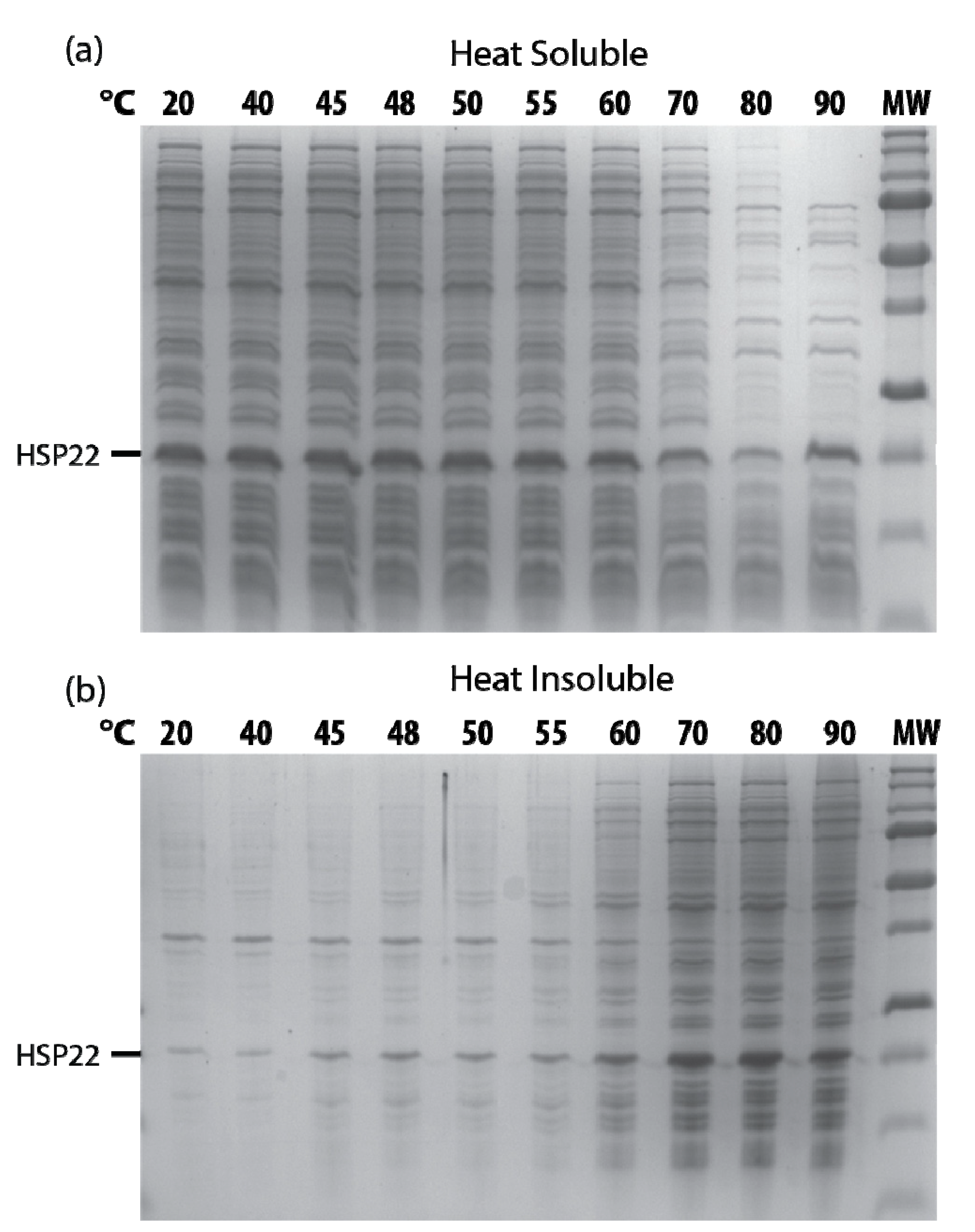 Ijms 21 00097 g009 Ijms 21 00097 g009