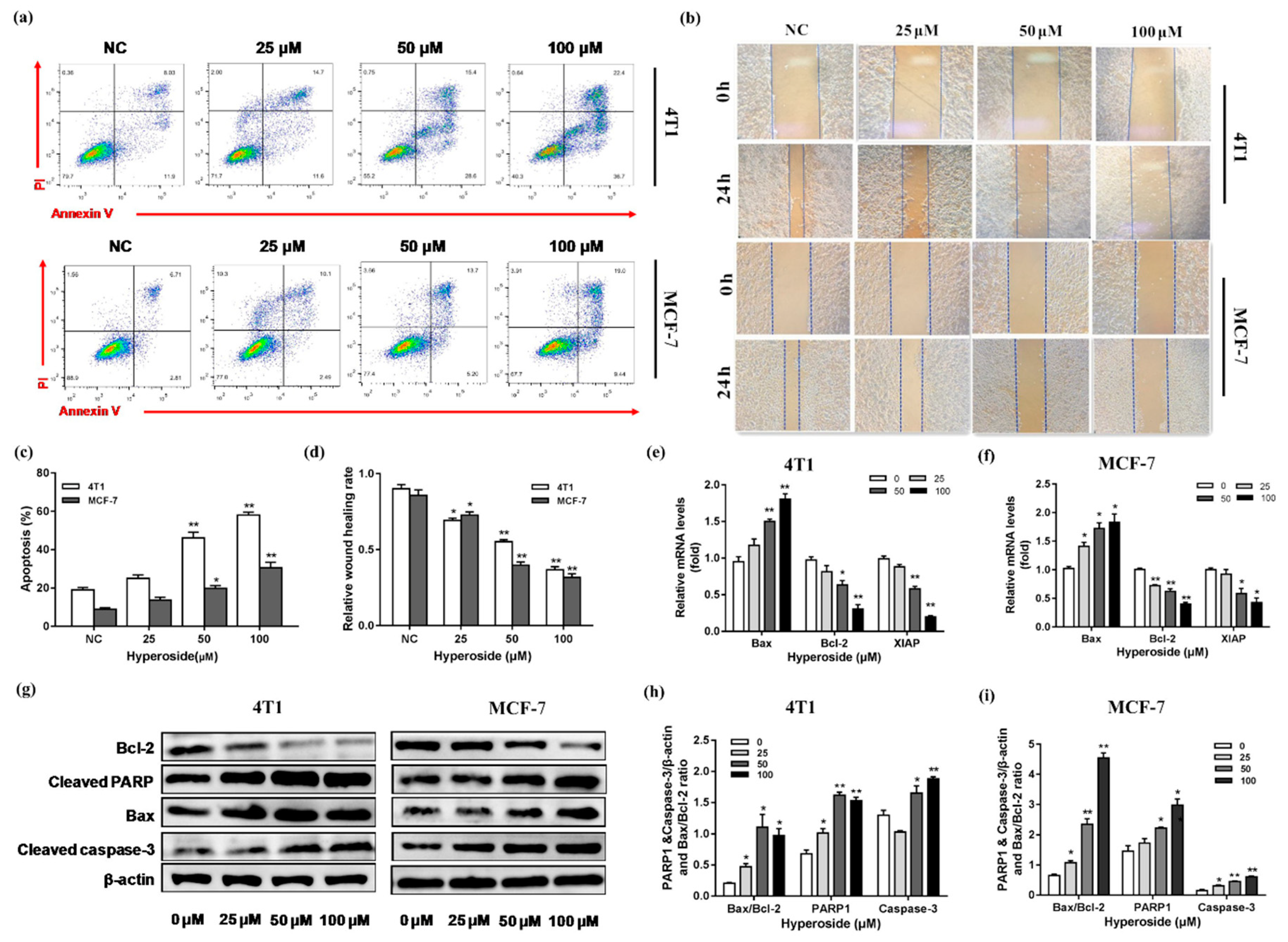 Ijms 21 00131 g002 Ijms 21 00131 g002