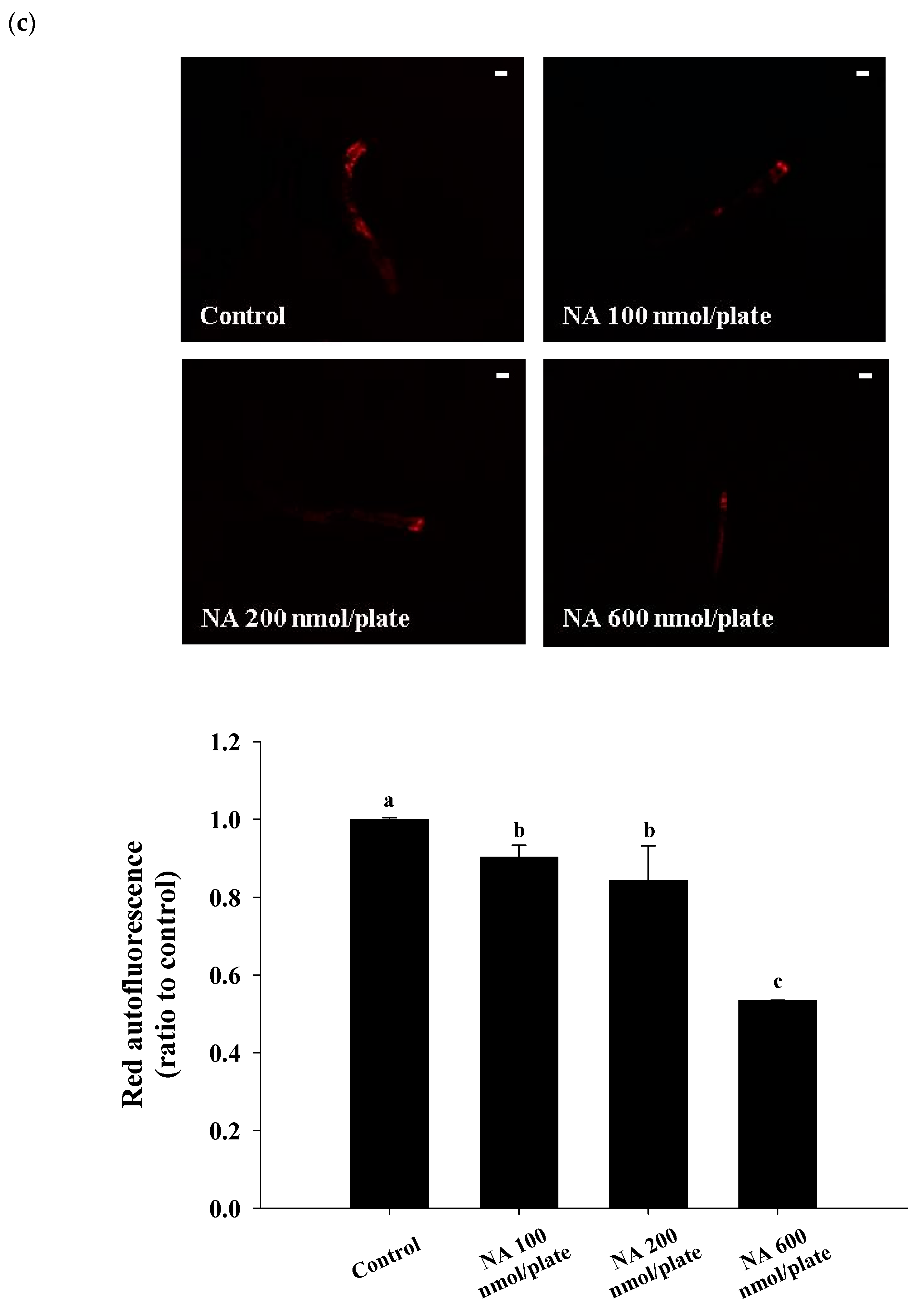 Ijms 21 00142 g003b Ijms 21 00142 g003b