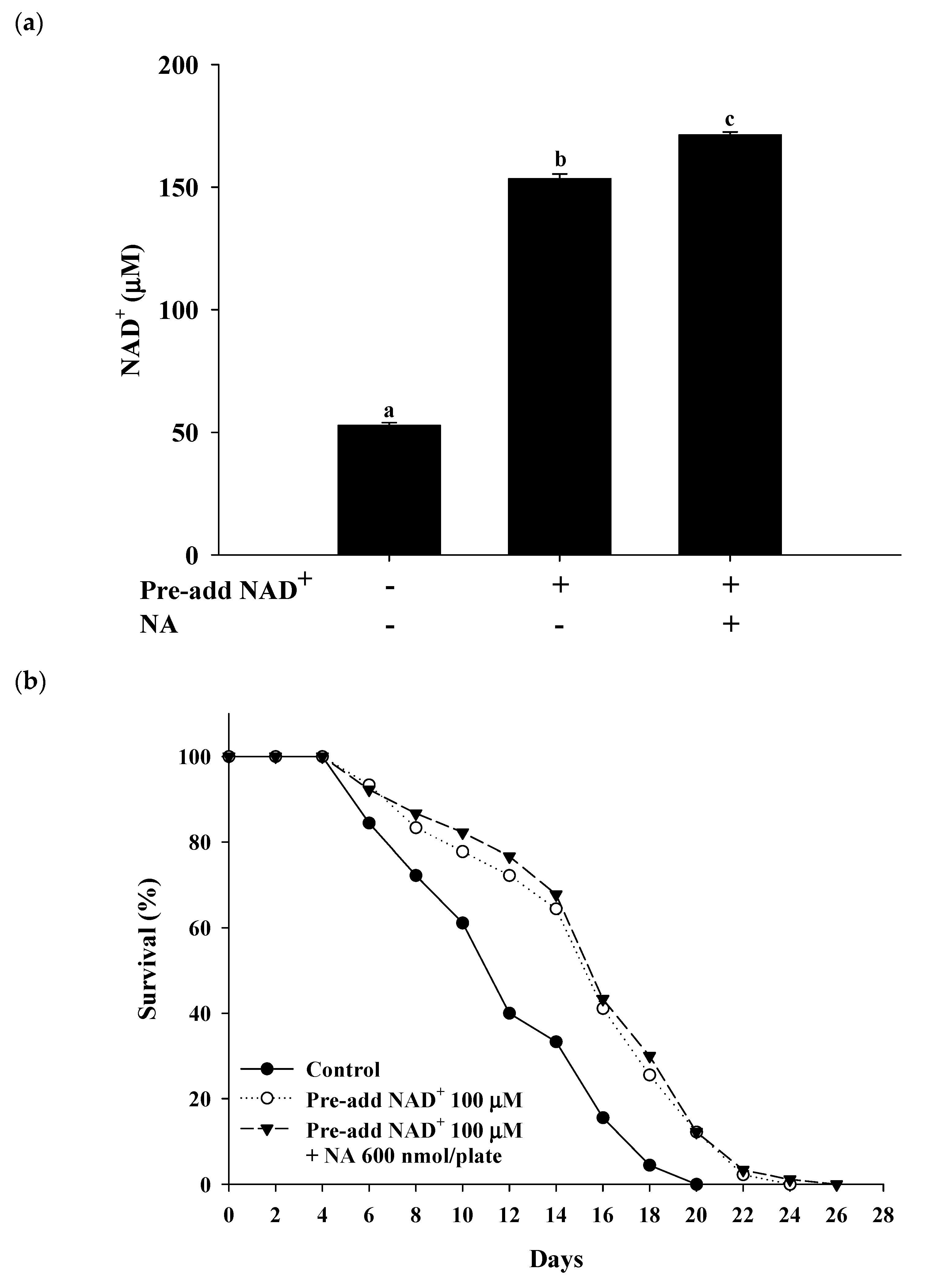 Ijms 21 00142 g007a Ijms 21 00142 g007a