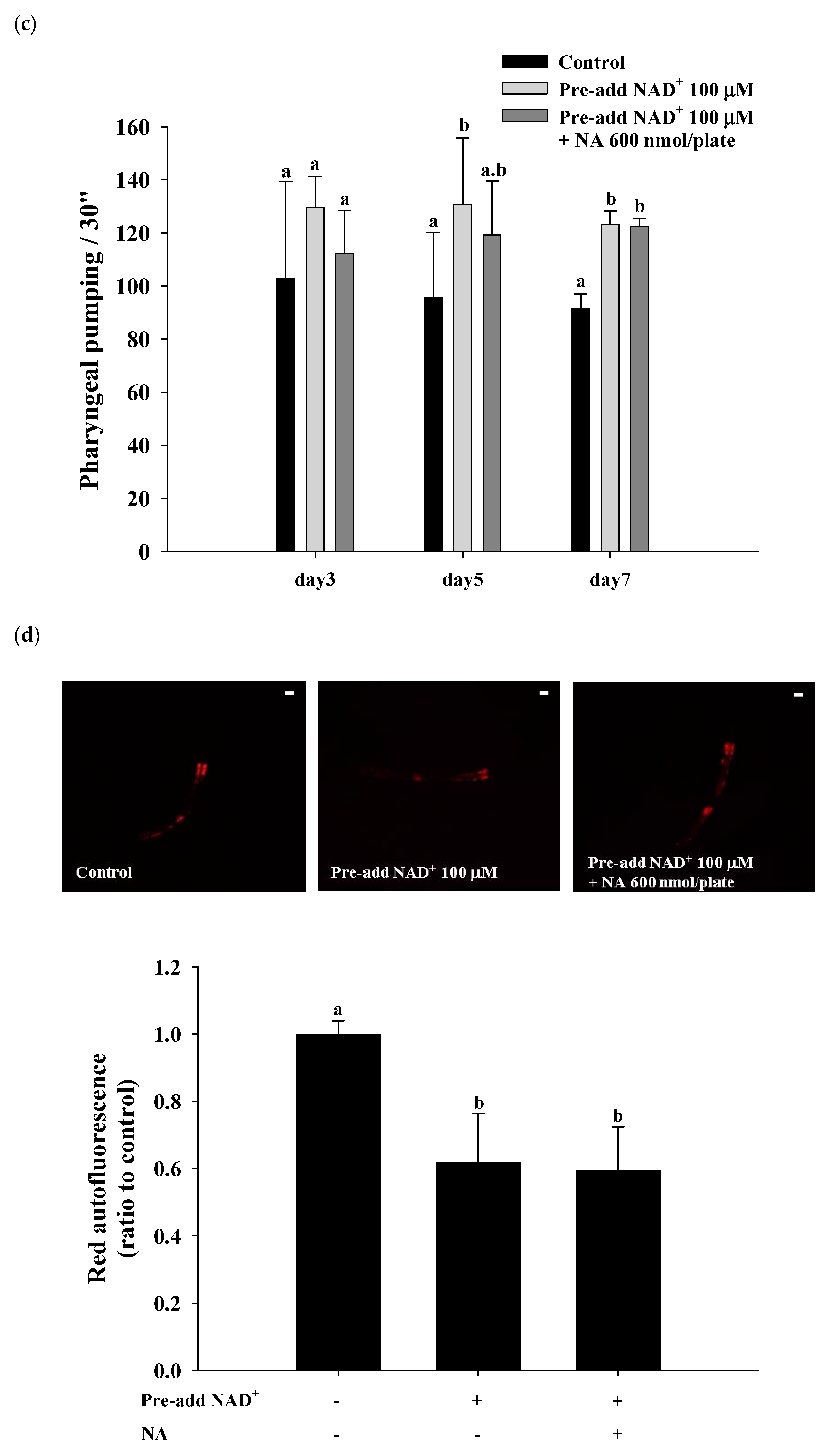 Ijms 21 00142 g007b Ijms 21 00142 g007b