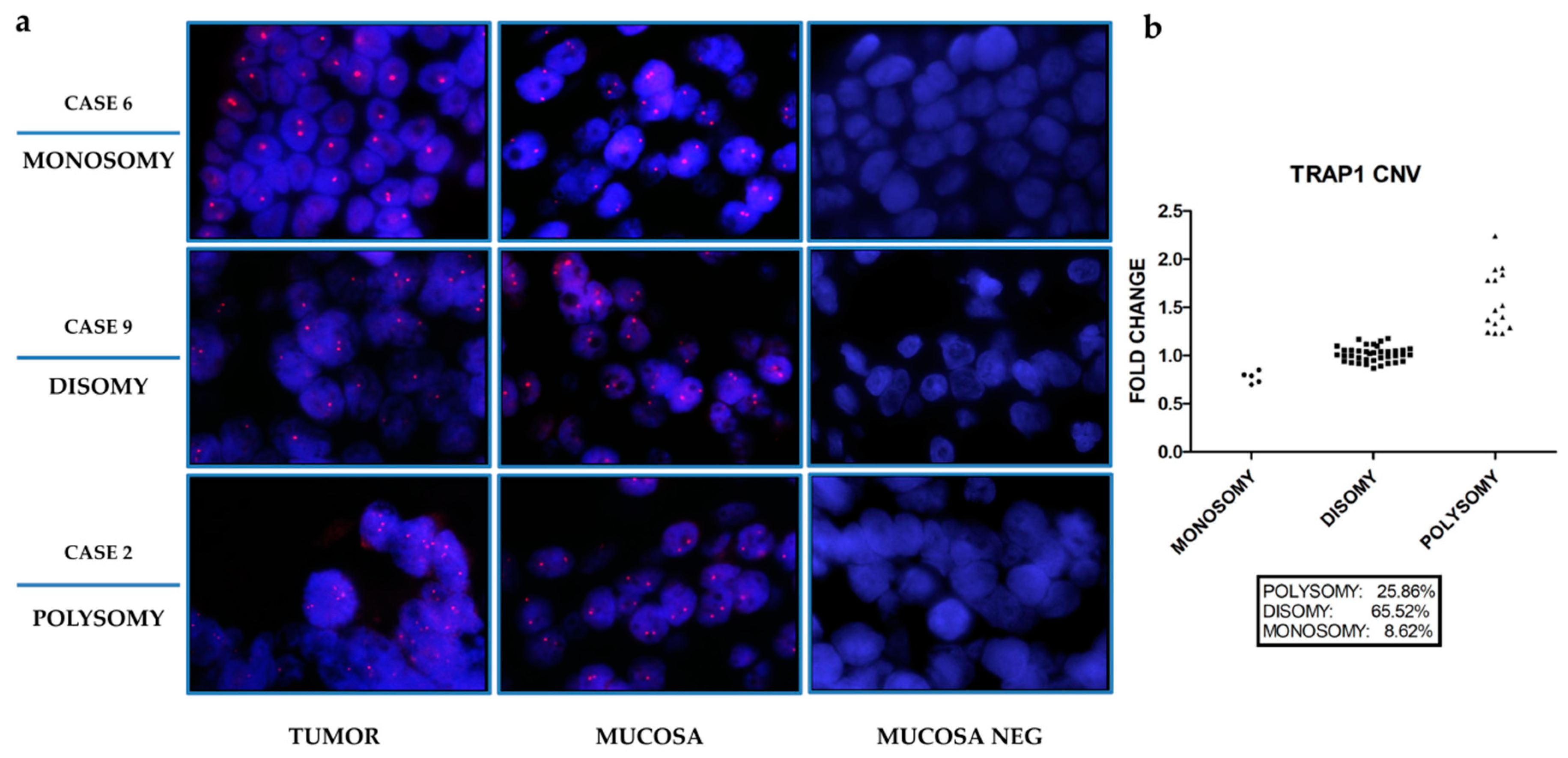 Ijms 21 00145 g001 Ijms 21 00145 g001