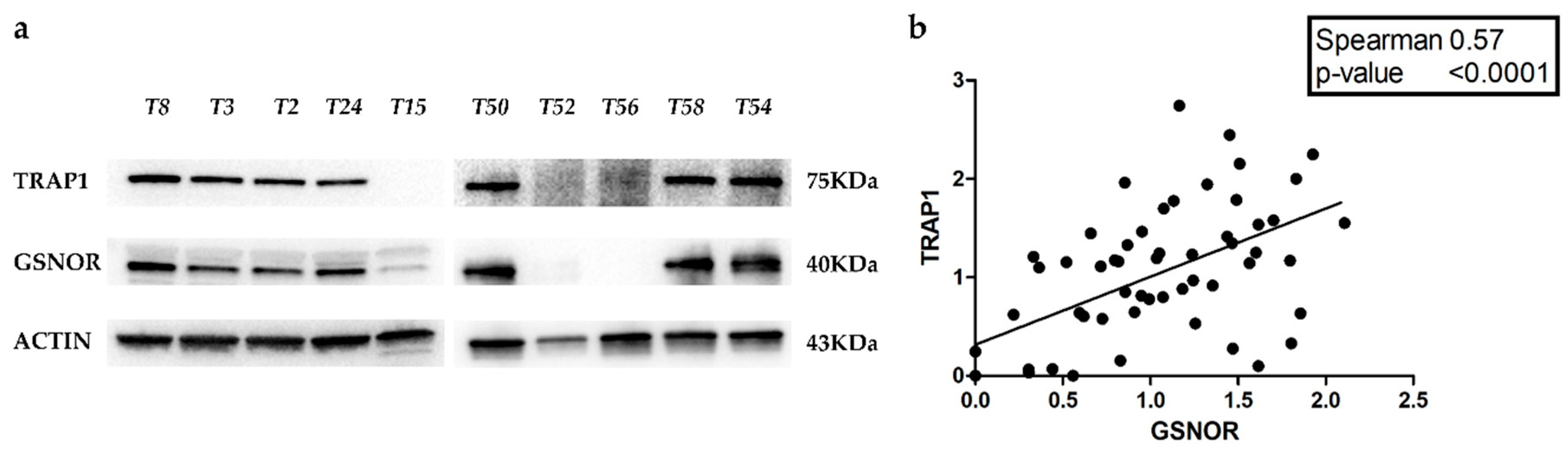 Ijms 21 00145 g004 Ijms 21 00145 g004