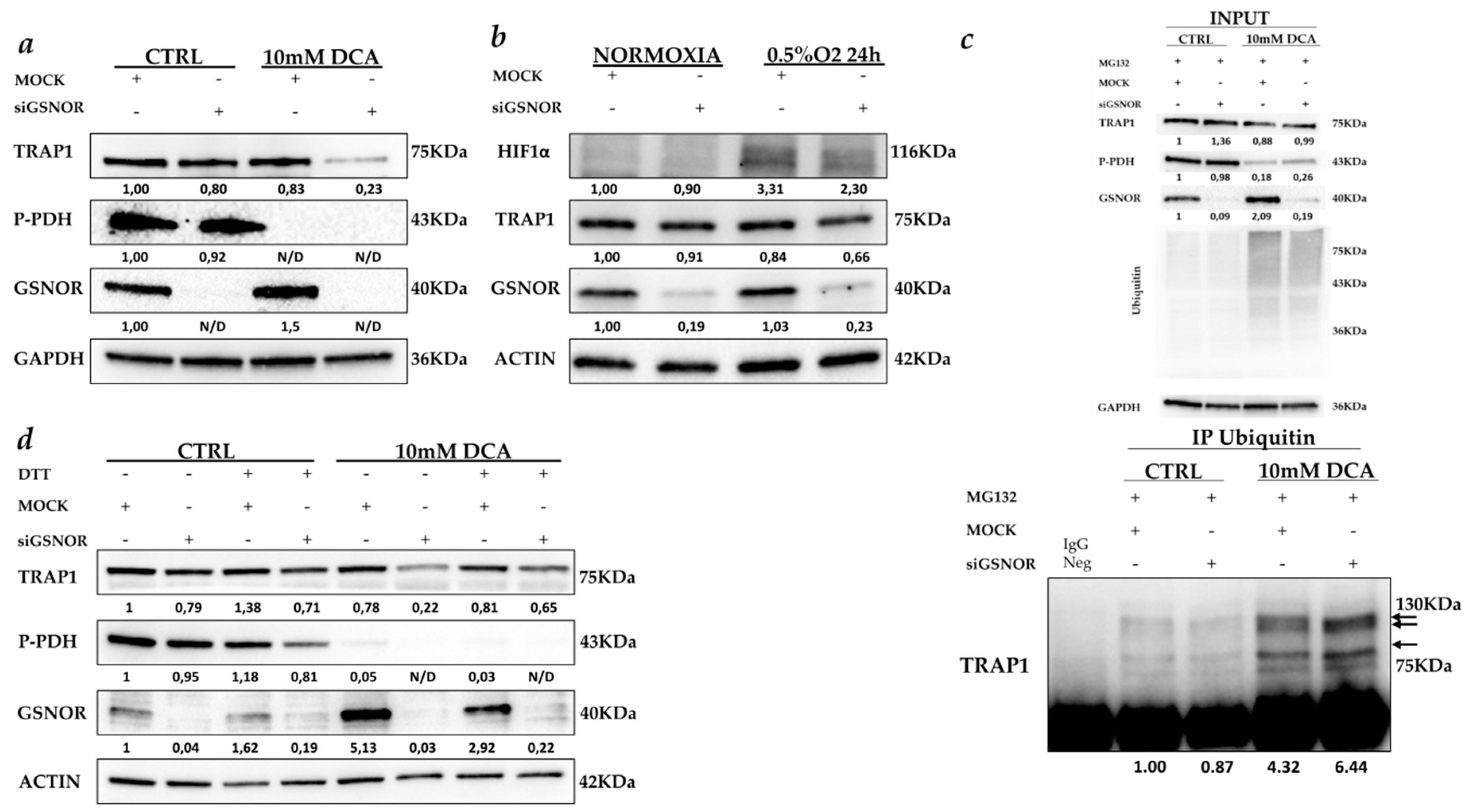 Ijms 21 00145 g005 Ijms 21 00145 g005
