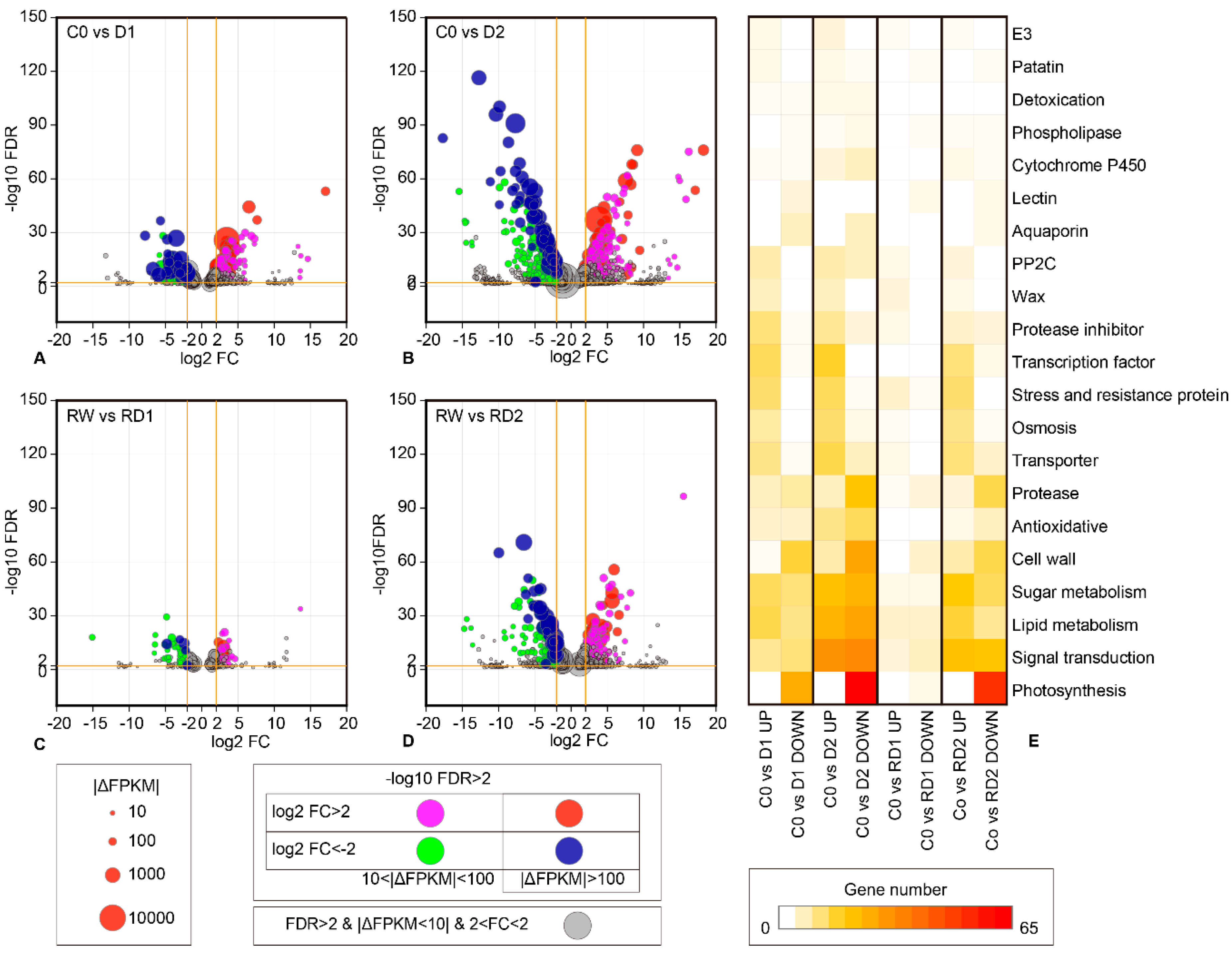 Ijms Free Full Text Transcriptome Response To Drought Rehydration