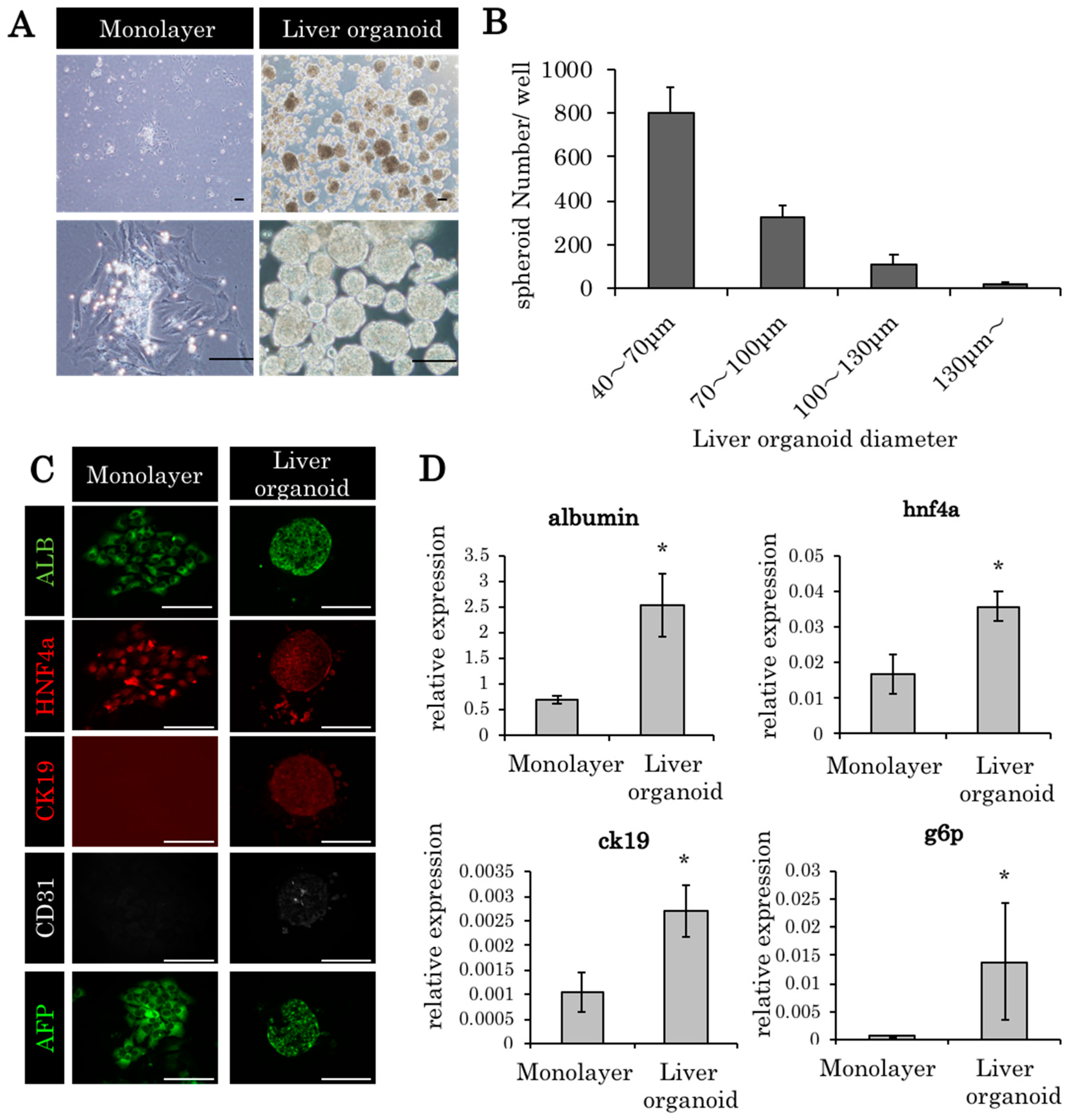 Ijms 21 00178 g001 Ijms 21 00178 g001