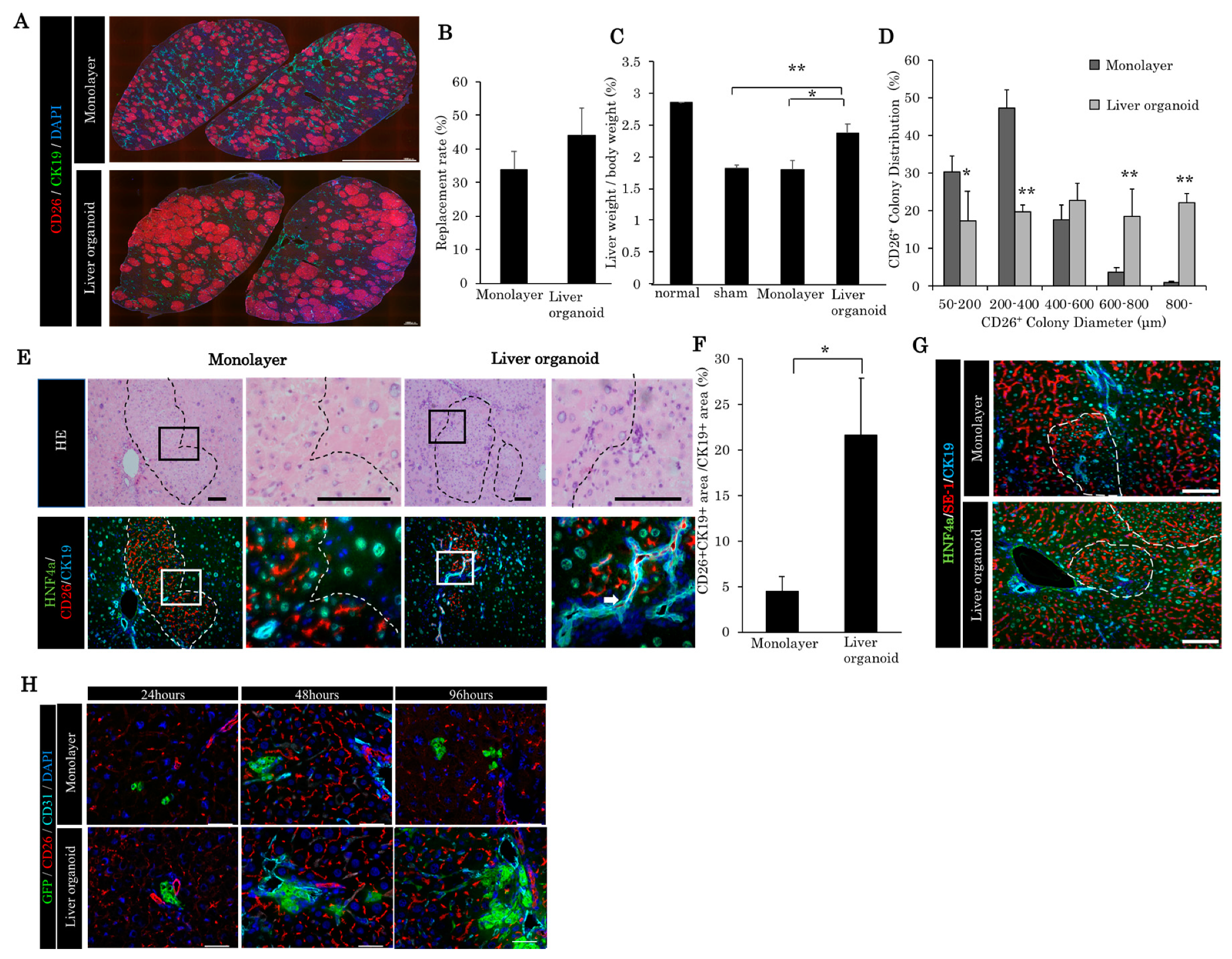Ijms 21 00178 g002 Ijms 21 00178 g002