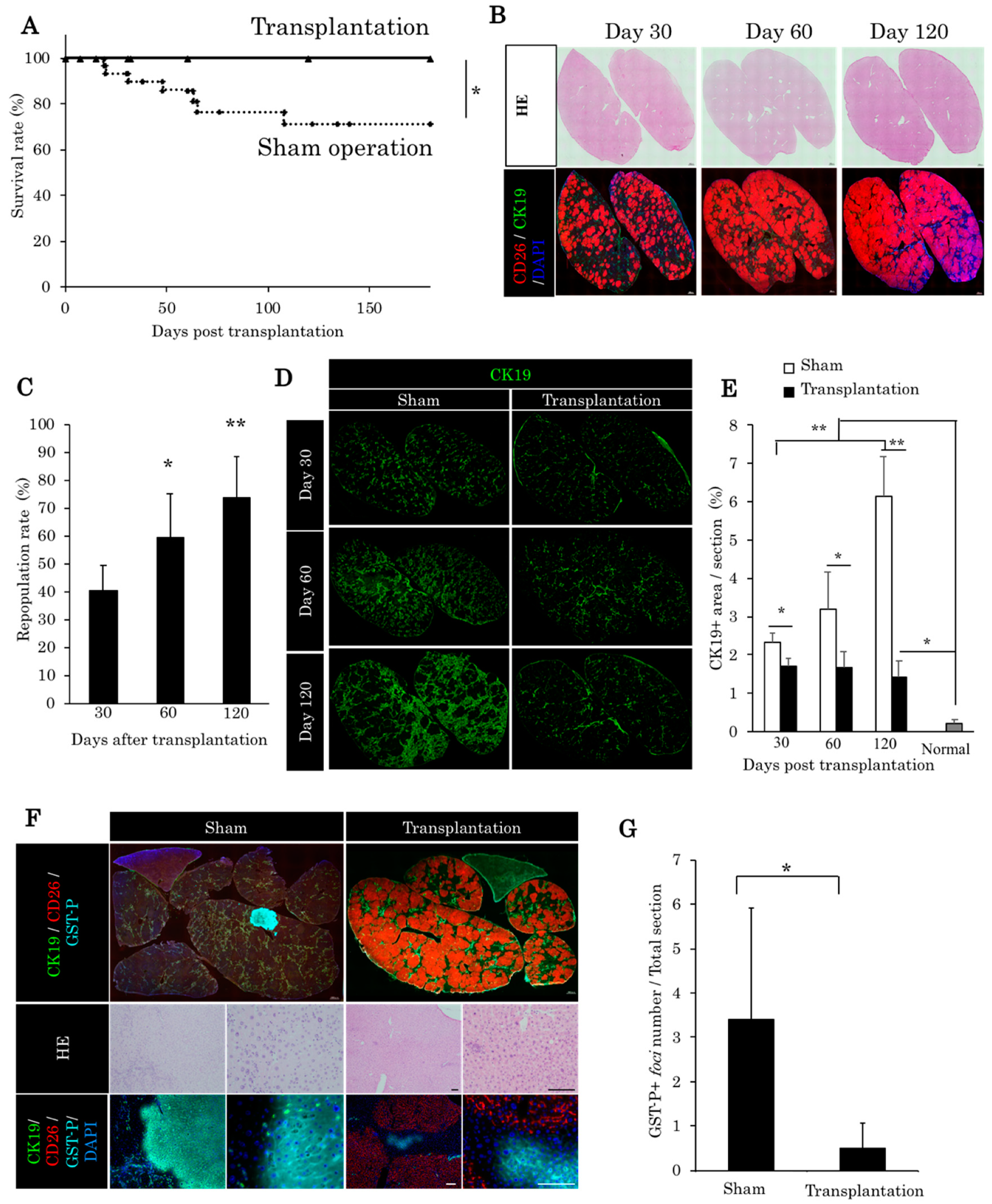 Ijms 21 00178 g003 Ijms 21 00178 g003