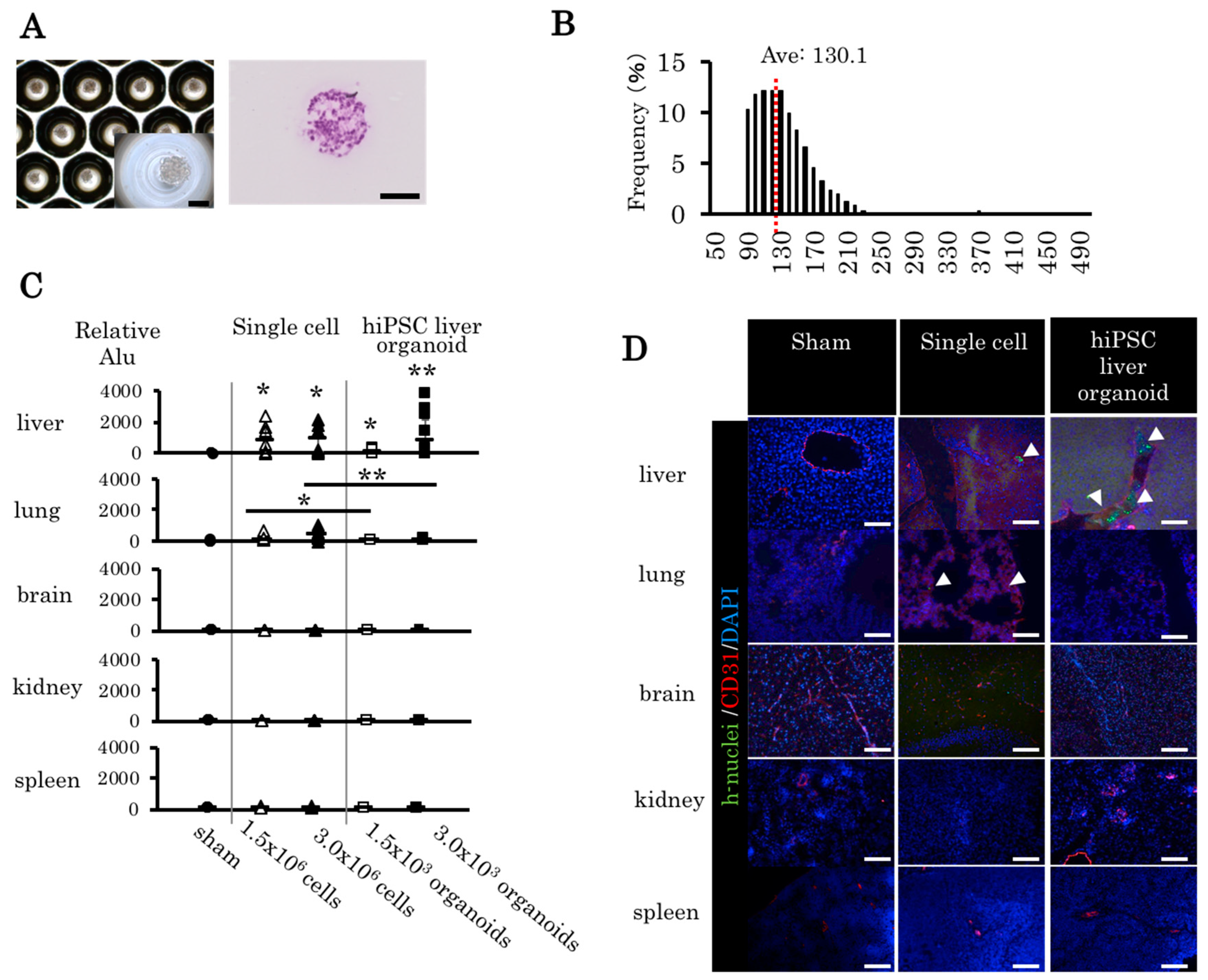 Ijms 21 00178 g004 Ijms 21 00178 g004