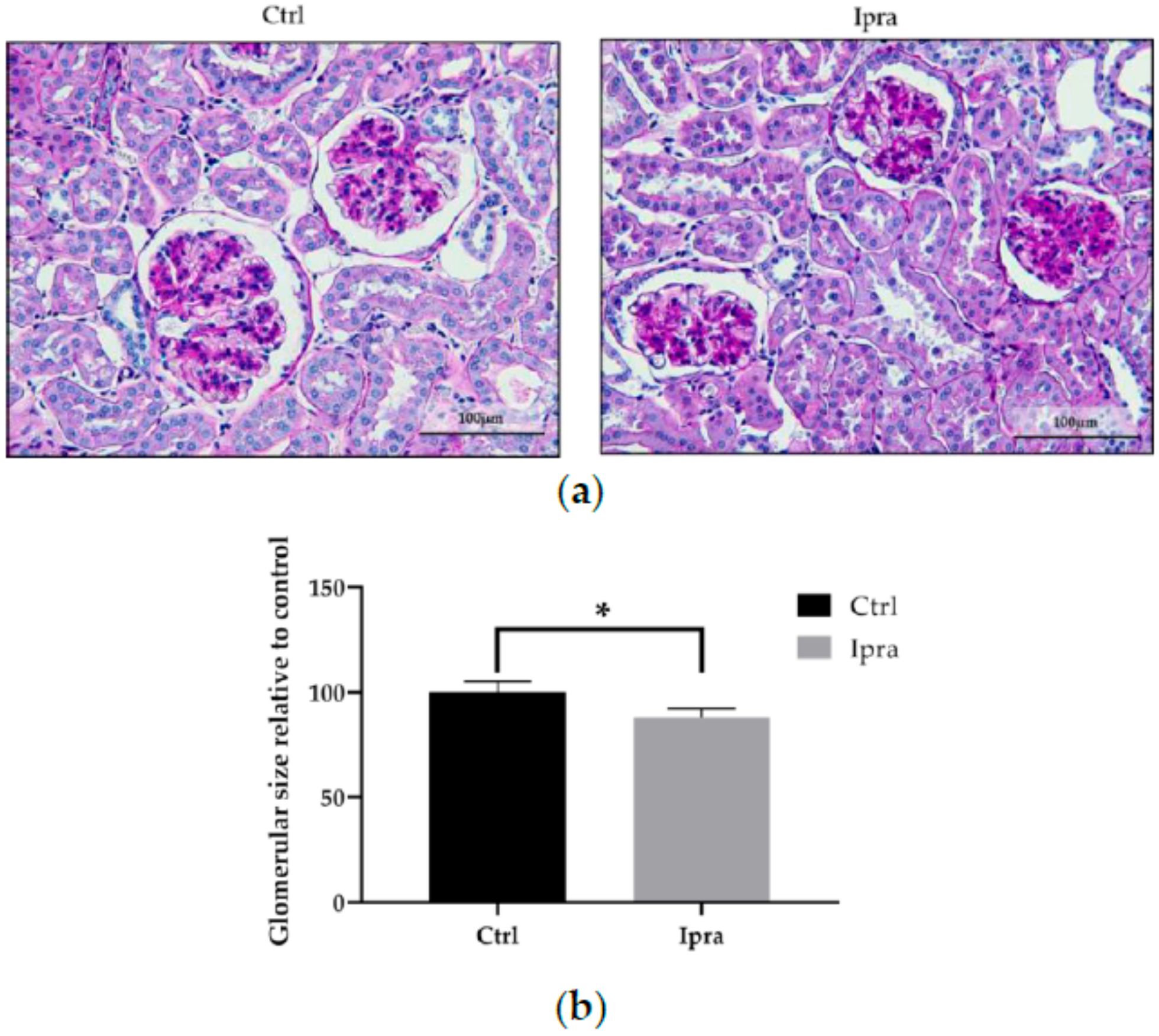 Ijms 21 00190 g002 Ijms 21 00190 g002
