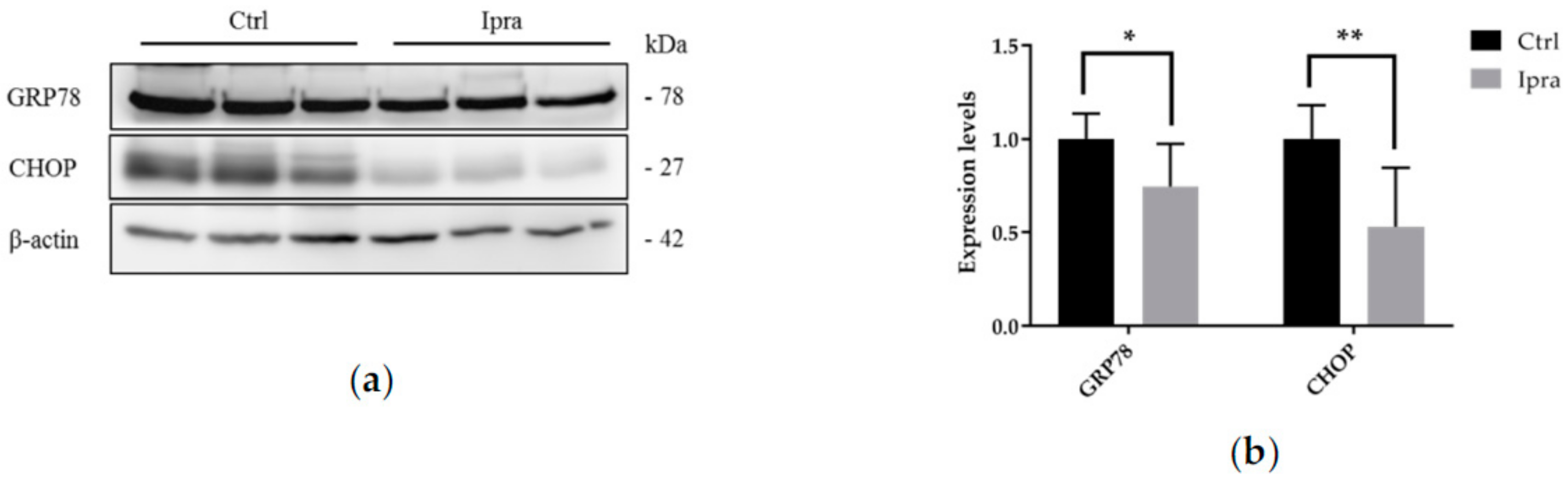 Ijms 21 00190 g005 Ijms 21 00190 g005