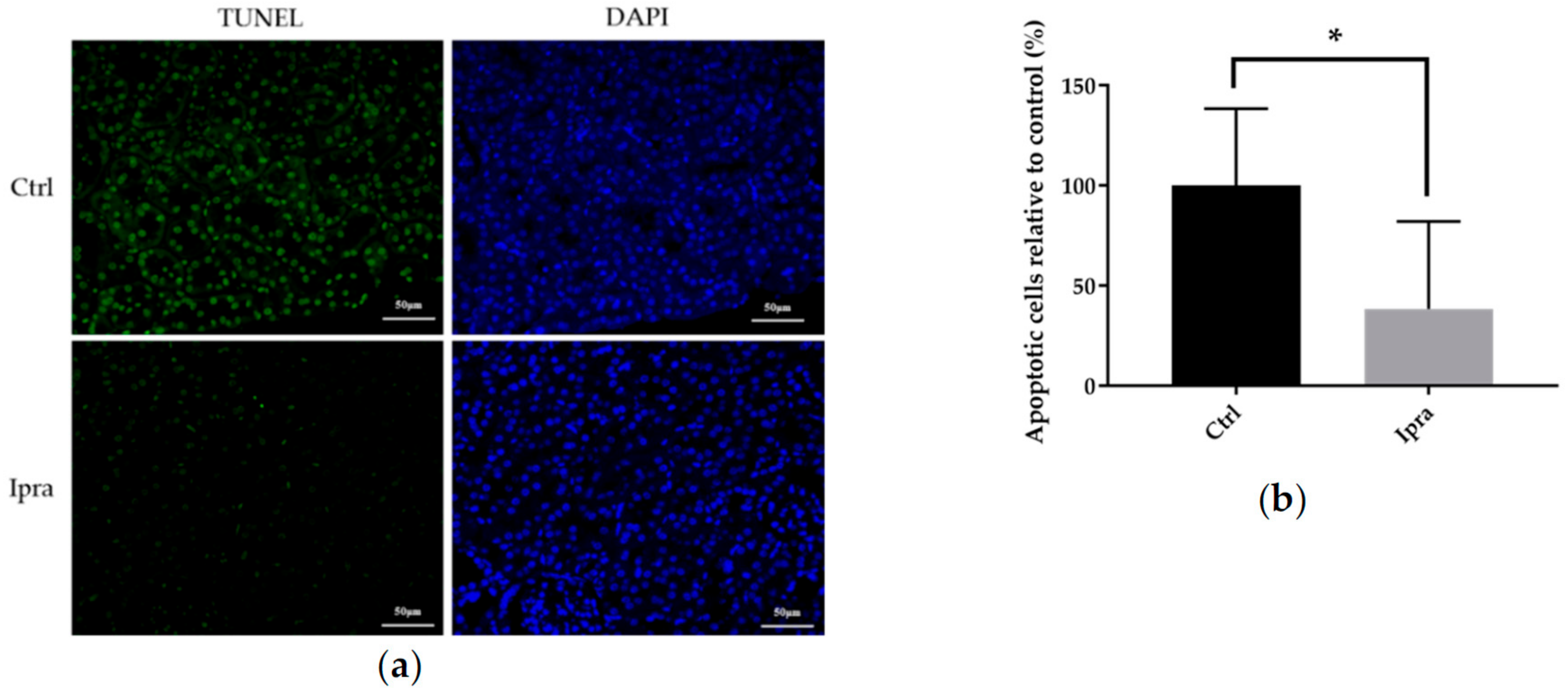 Ijms 21 00190 g007 Ijms 21 00190 g007