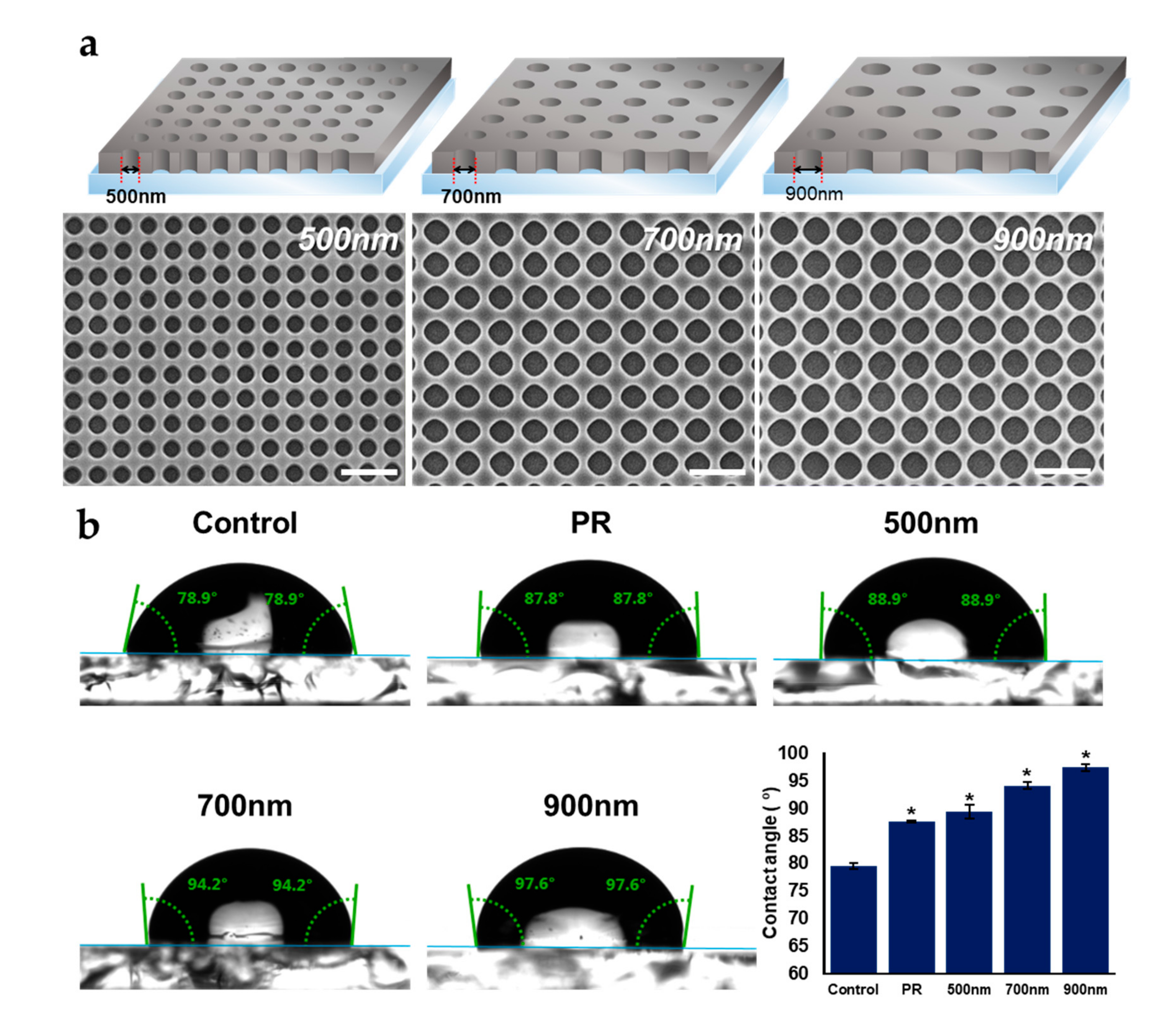 Ijms 21 00191 g002 Ijms 21 00191 g002