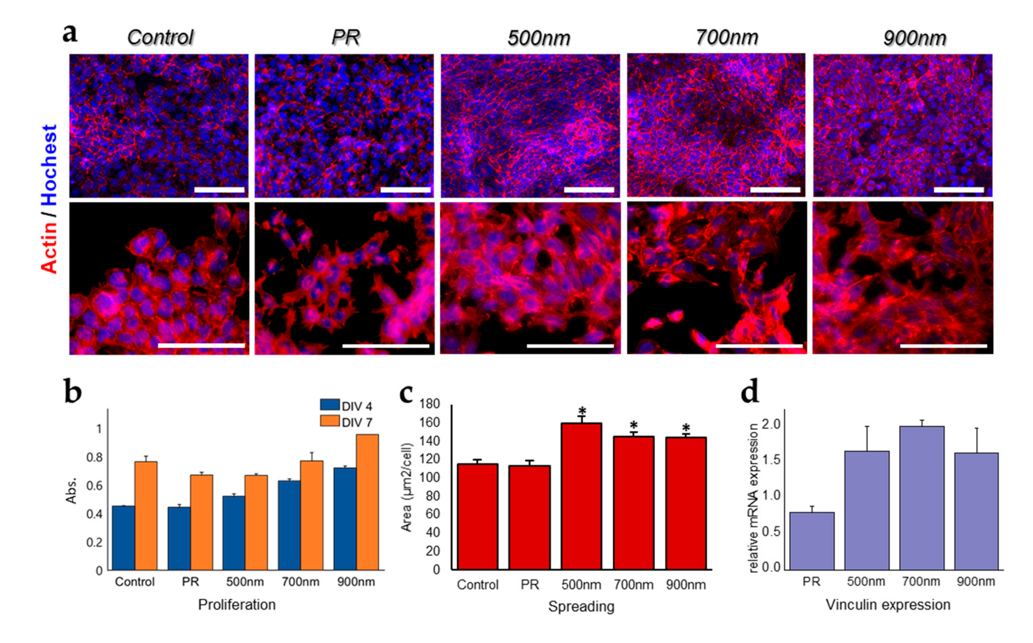 Ijms 21 00191 g003 Ijms 21 00191 g003