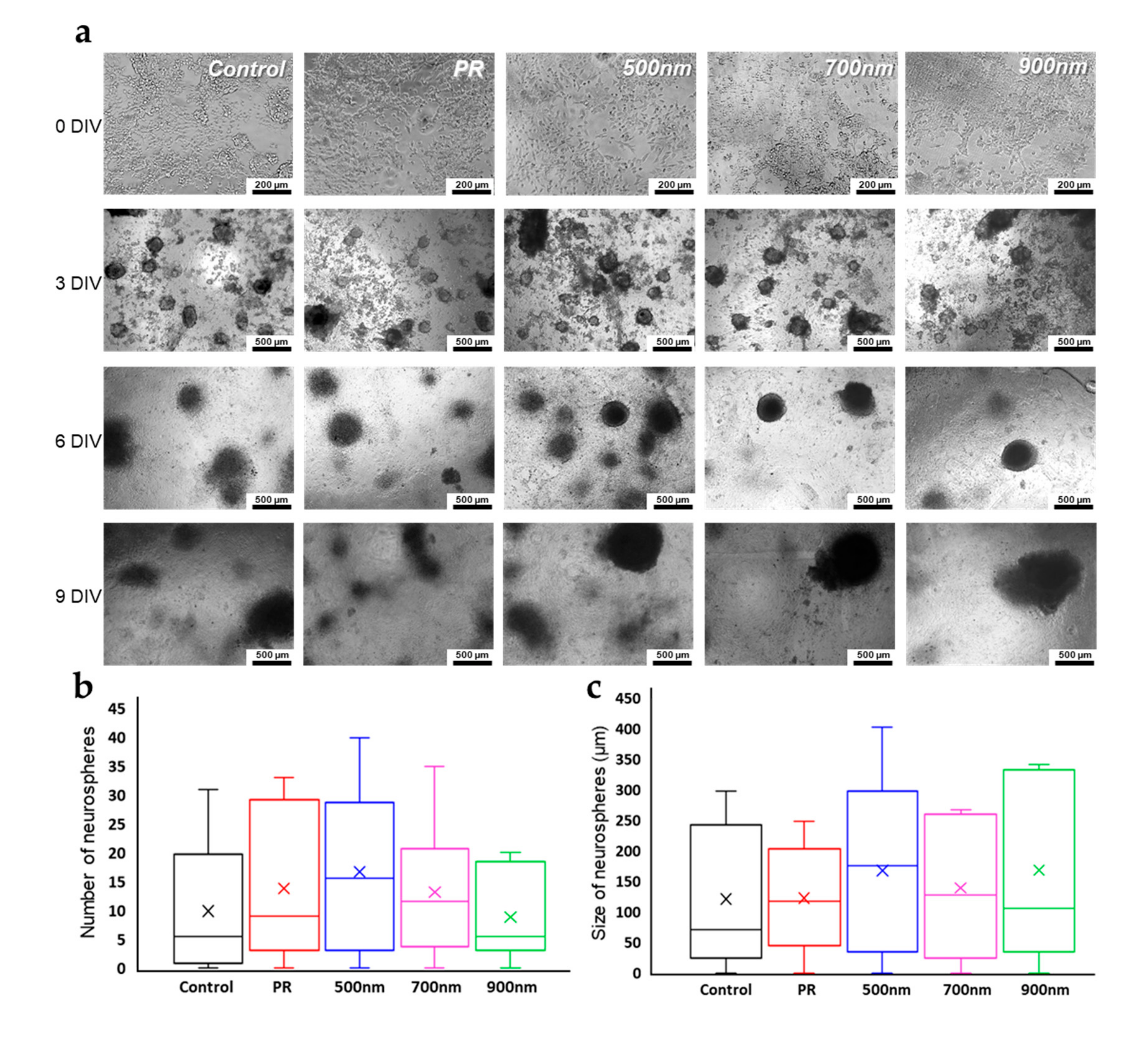 Ijms 21 00191 g005 Ijms 21 00191 g005