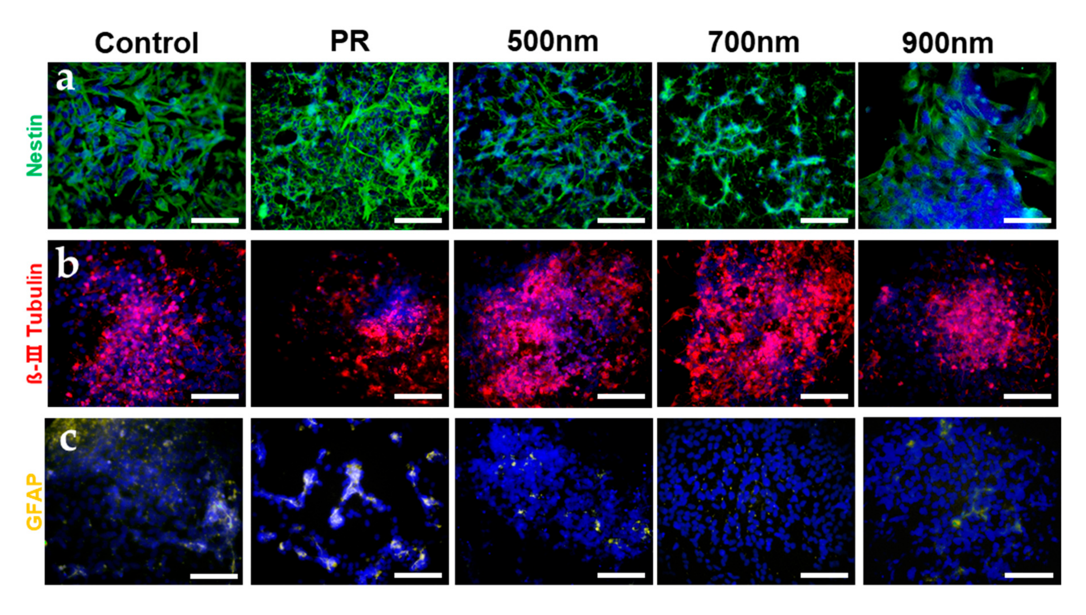 Ijms 21 00191 g006 Ijms 21 00191 g006