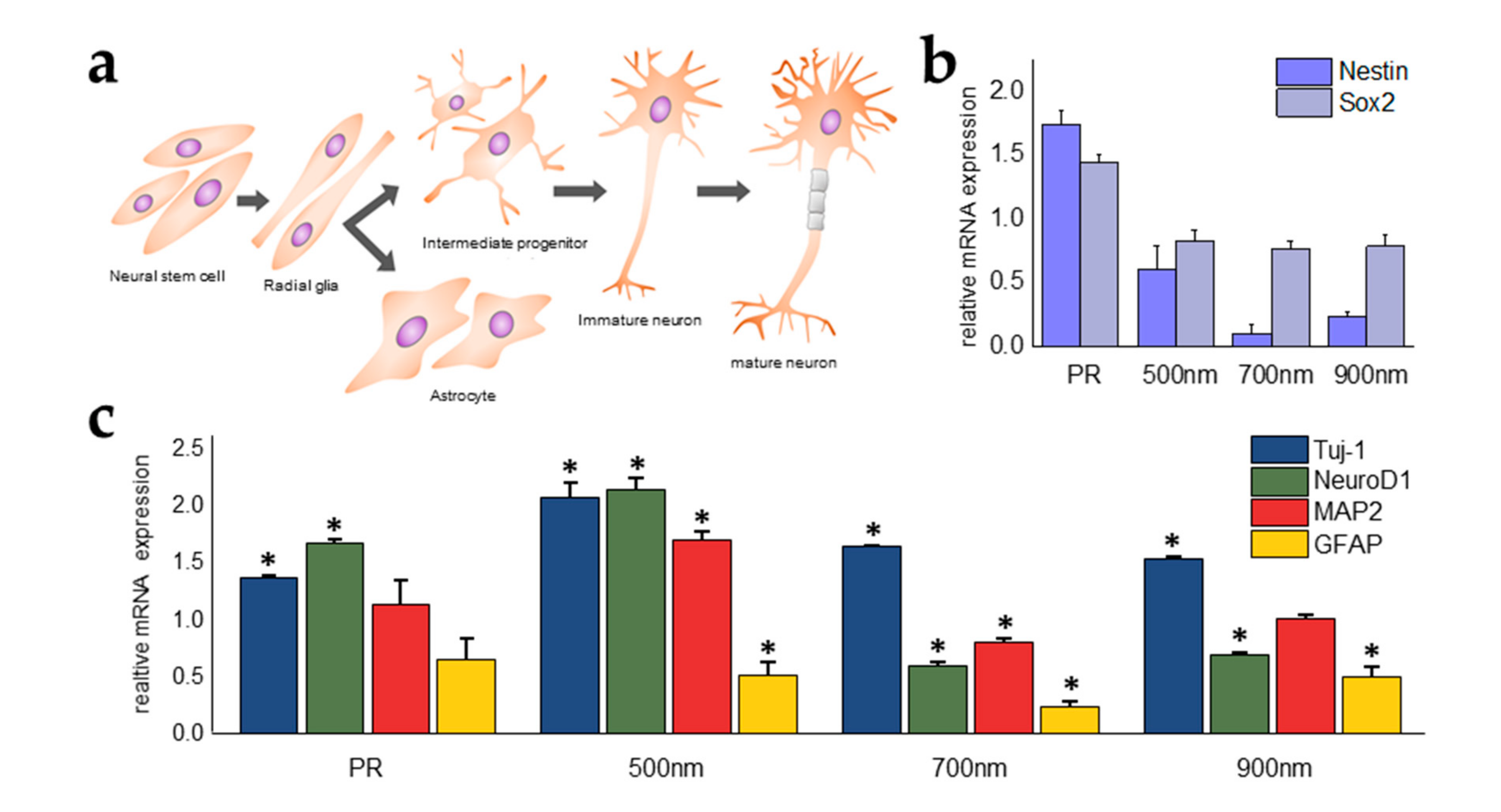 Ijms 21 00191 g007 Ijms 21 00191 g007