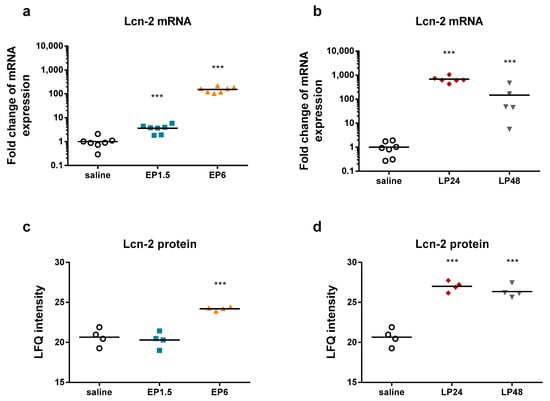 Ijms Free Full Text The Acute Phase Response Is A Prominent Renal Proteome Change In Sepsis In Mice Html