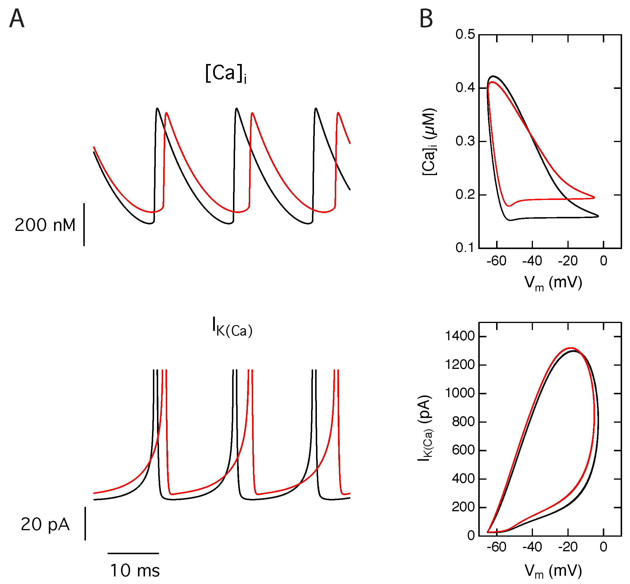 Ijms 21 00206 g003 Ijms 21 00206 g003