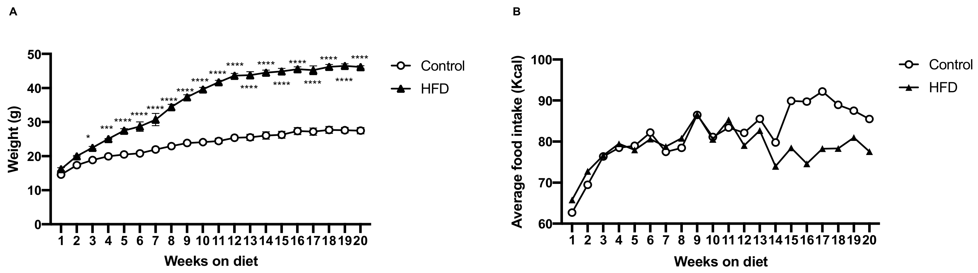 Long-term consumption of high-fat diet impairs motor coordination without  affecting the general motor activity