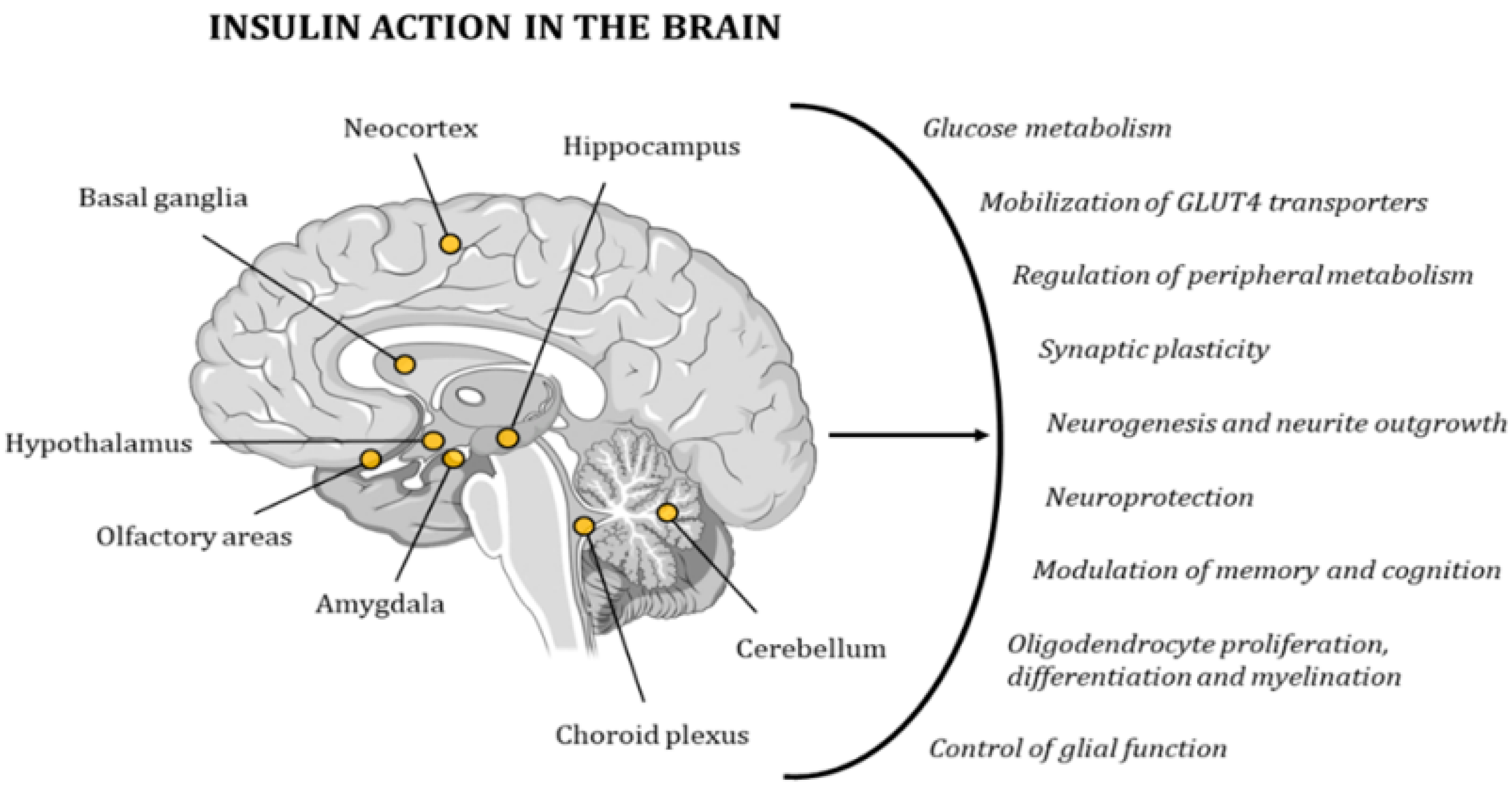 Ijms 21 00255 g006 Ijms 21 00255 g006