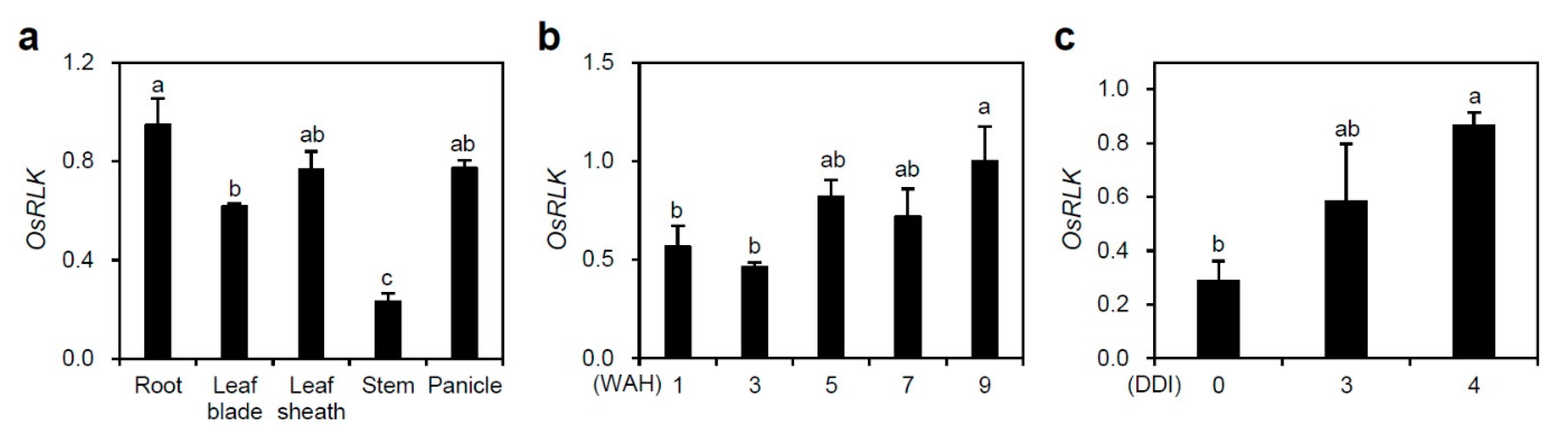 IJMS | Free Full-Text | Rice Senescence-Induced Receptor-Like 