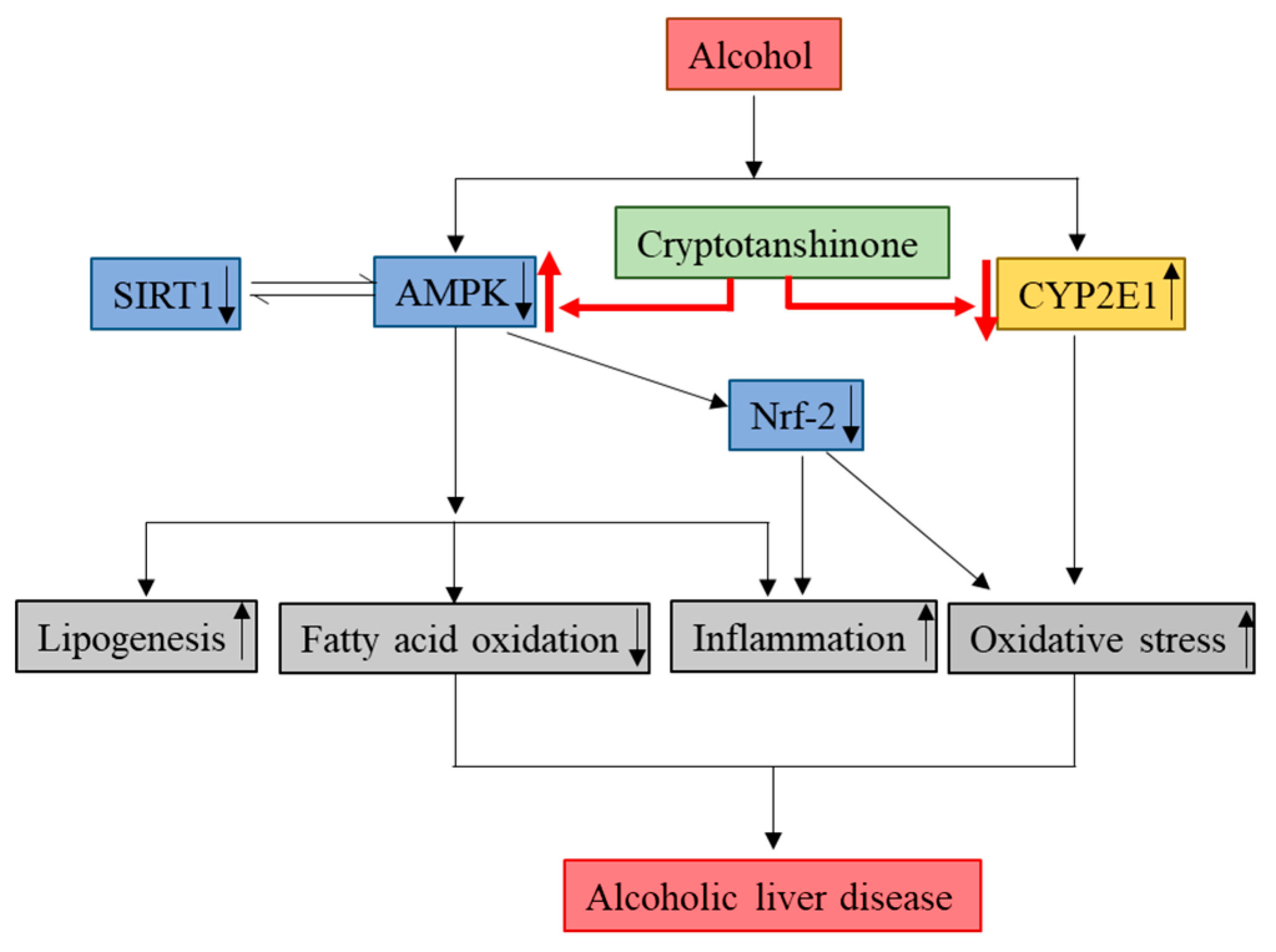 Ijms 21 00265 g009 Ijms 21 00265 g009