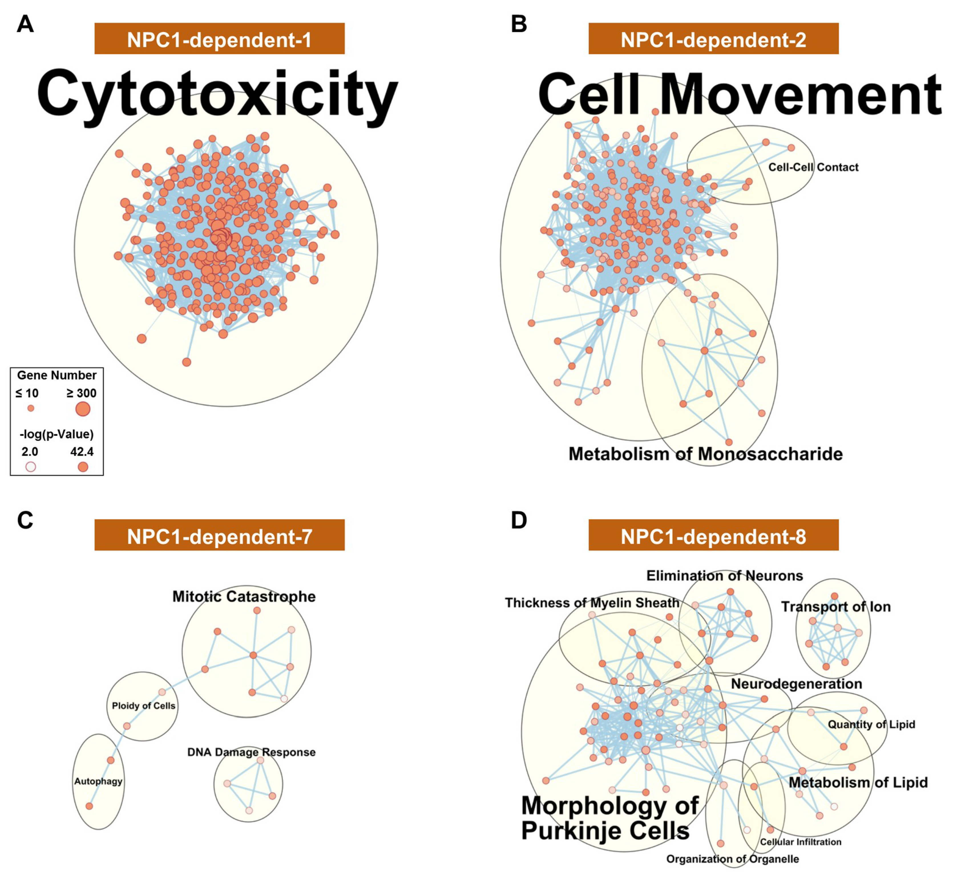 Ijms 21 00292 g003 Ijms 21 00292 g003