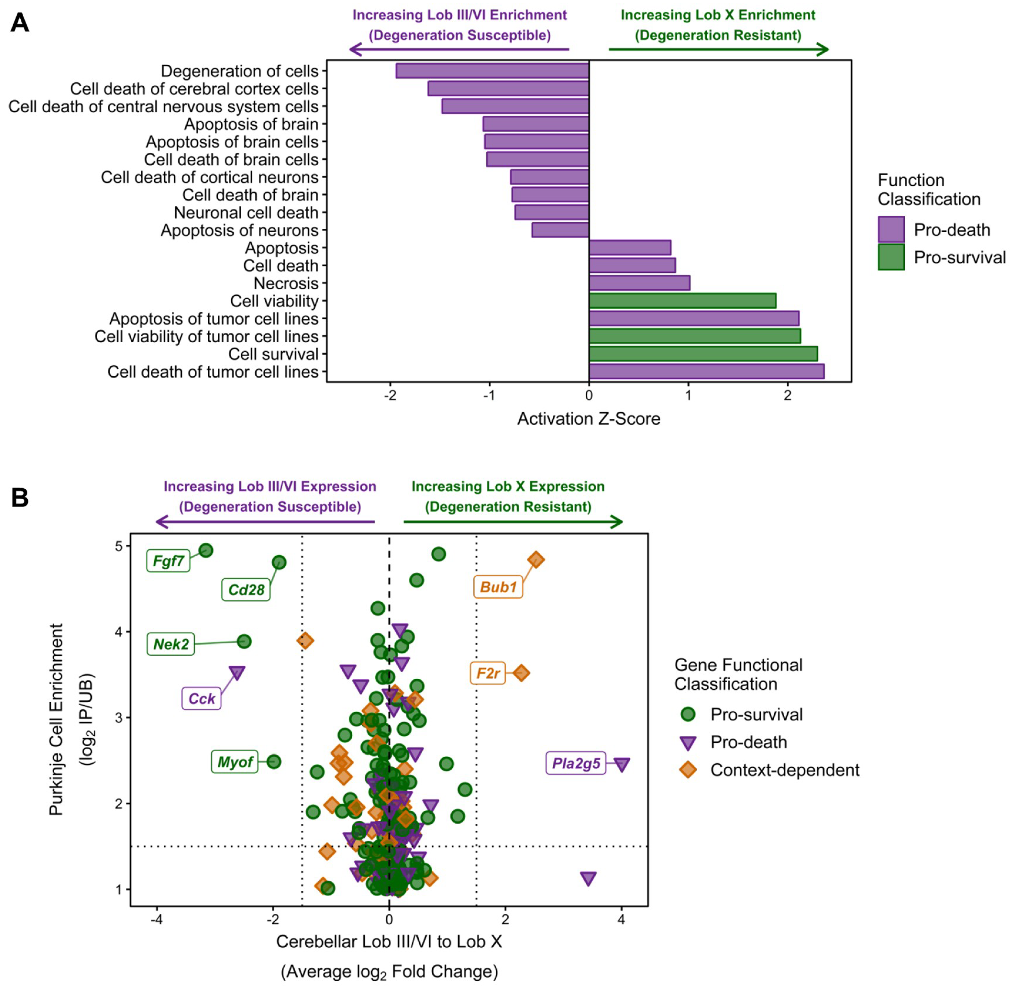 Ijms 21 00292 g007 Ijms 21 00292 g007