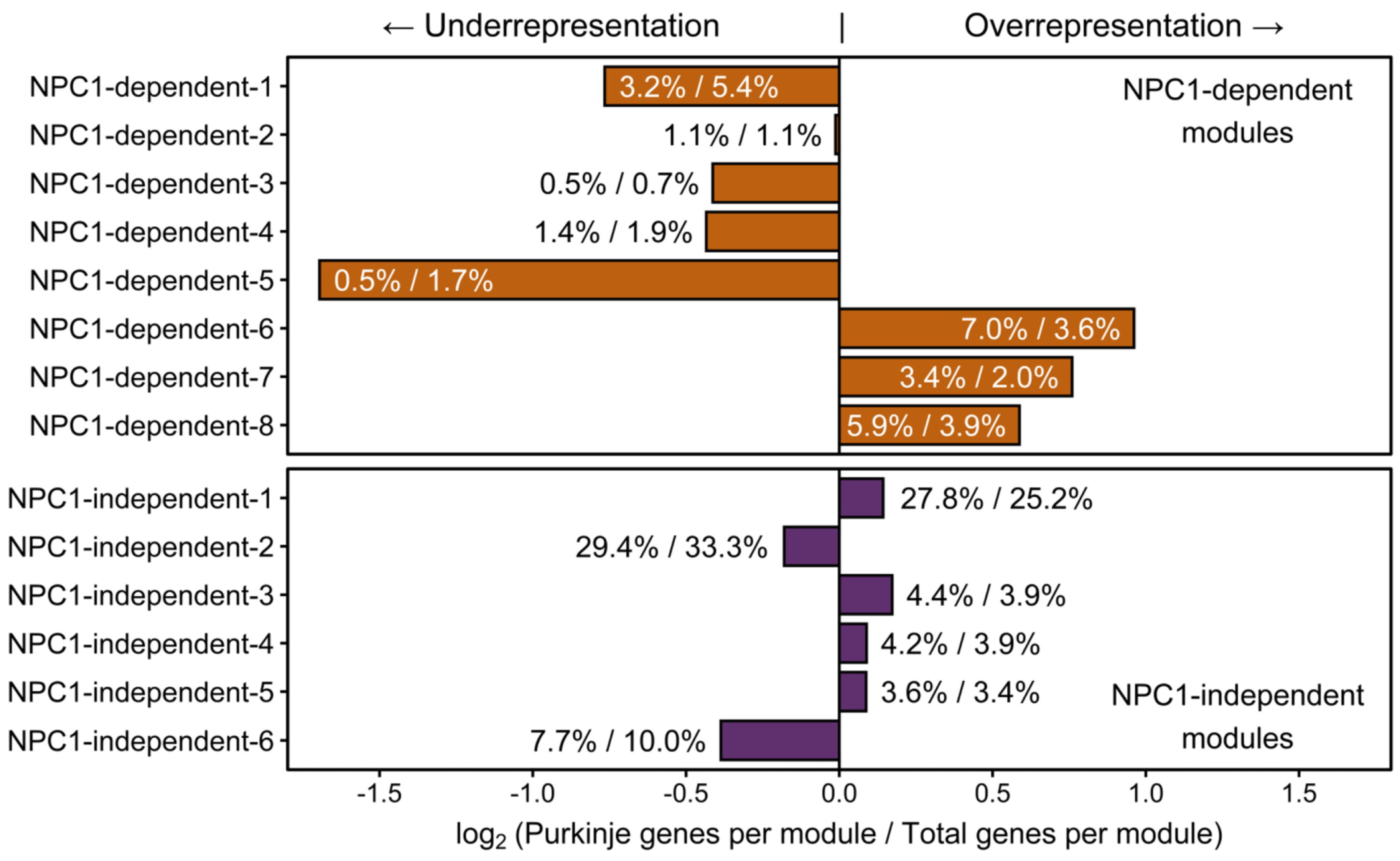 Ijms 21 00292 g008 Ijms 21 00292 g008