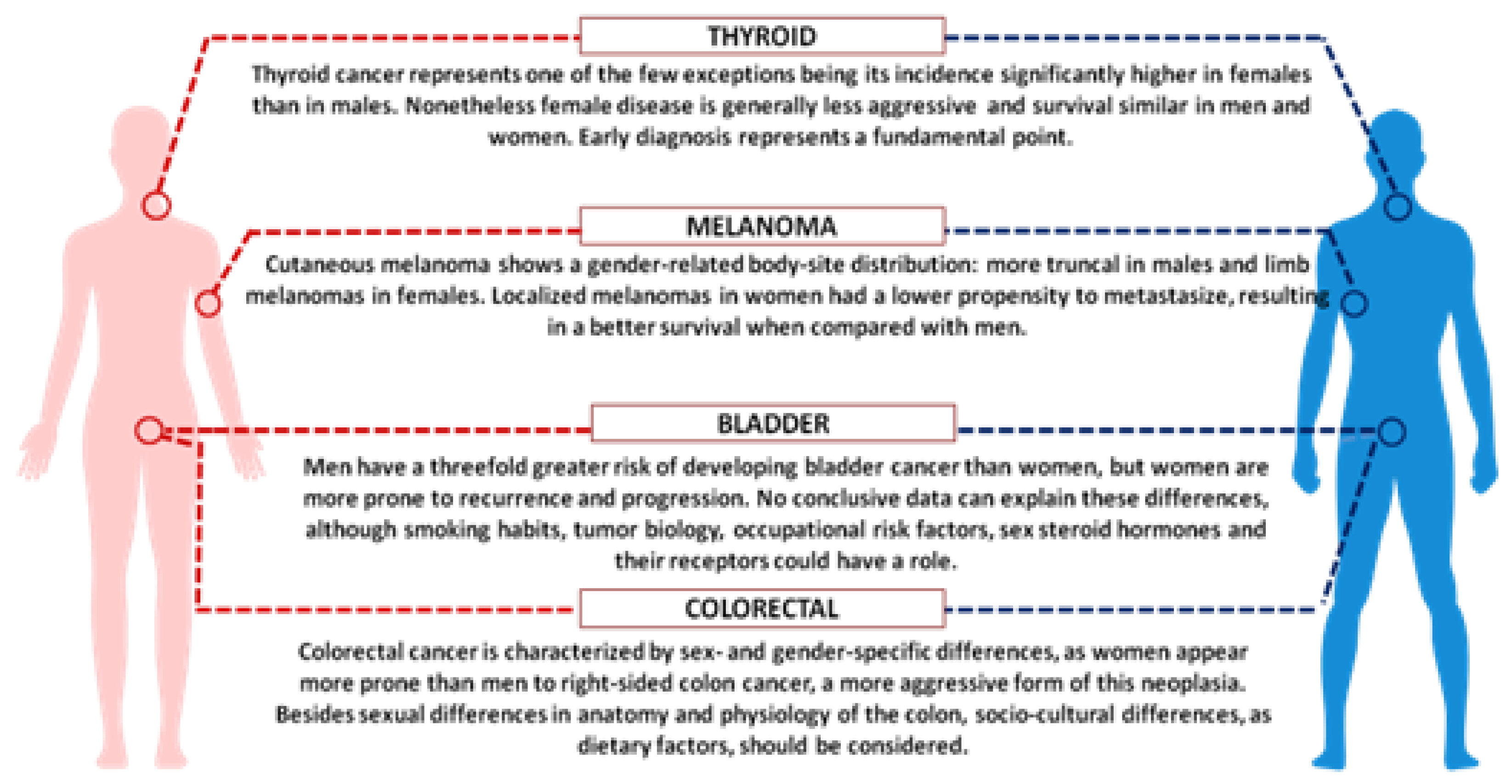 IJMS | Free Full-Text | “Bridging the Gap” Everything that Could Have Been  Avoided If We Had Applied Gender Medicine, Pharmacogenetics and  Personalized Medicine in the Gender-Omics and Sex-Omics Era