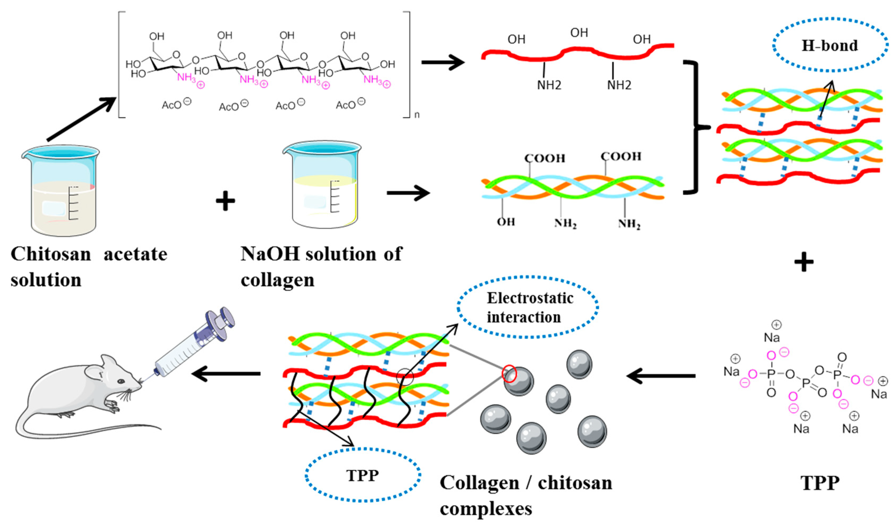 Ijms 21 00313 sch001