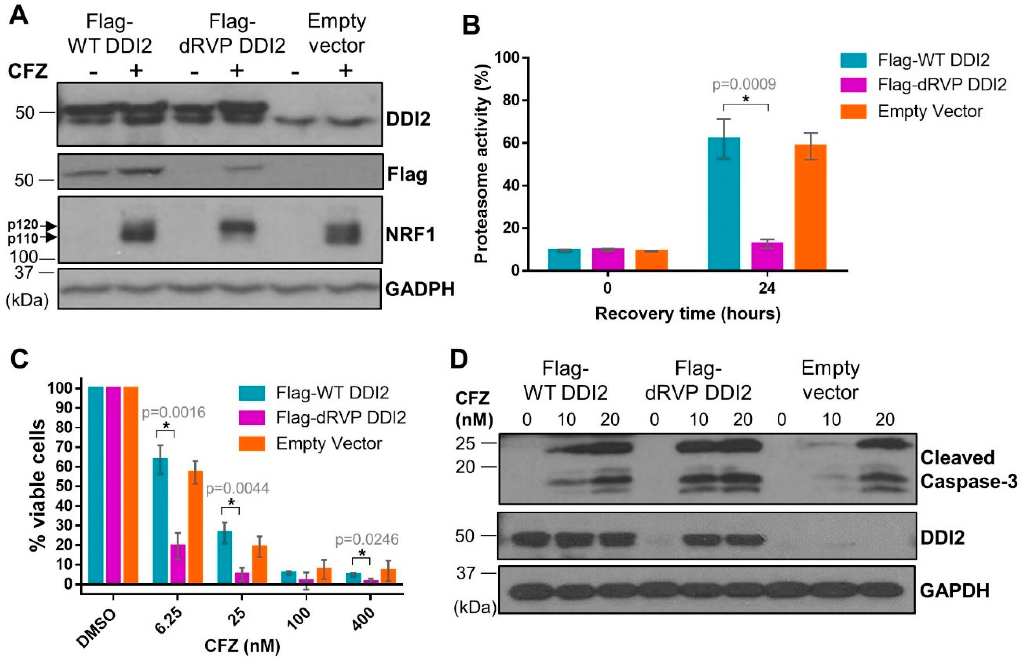 Ijms 21 00327 g005 Ijms 21 00327 g005