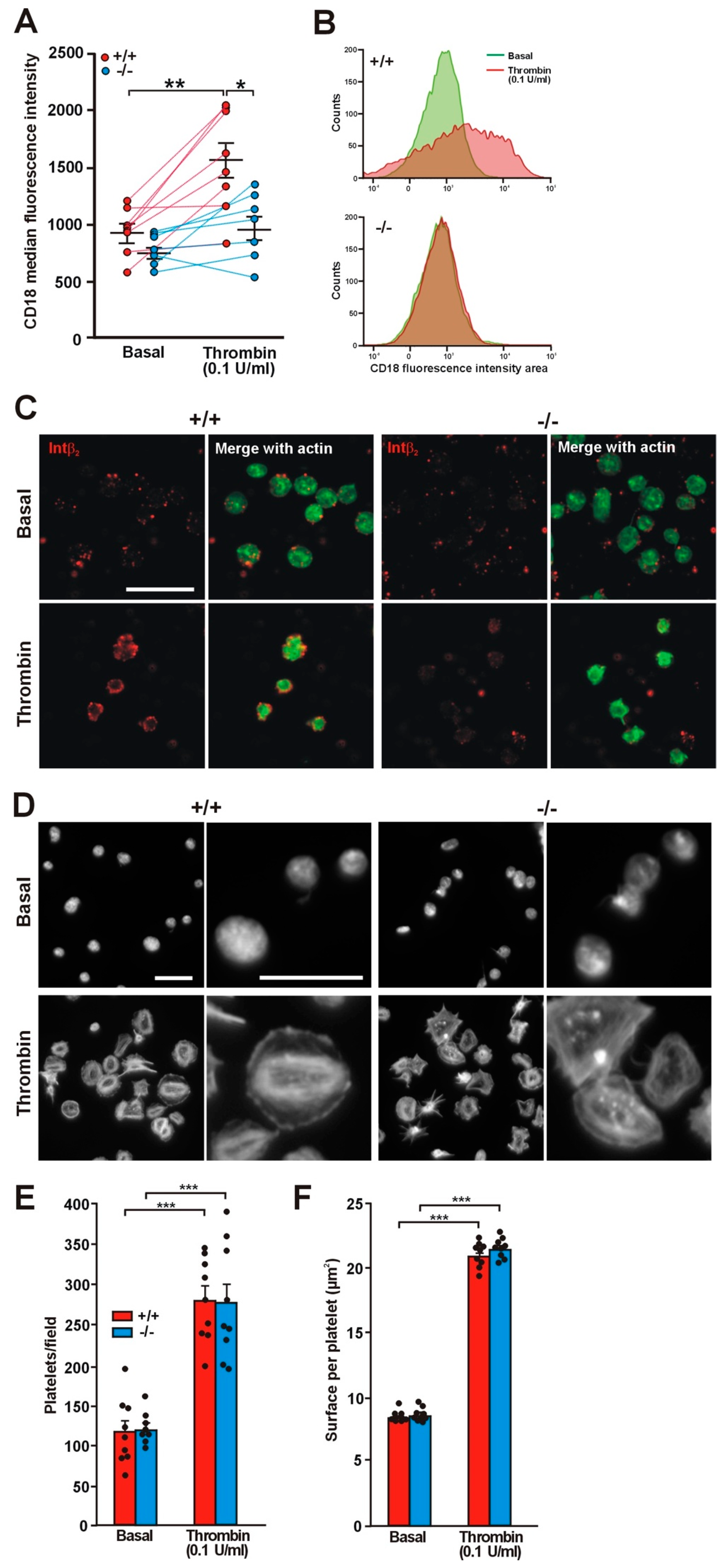 Ijms 21 00356 g002 Ijms 21 00356 g002