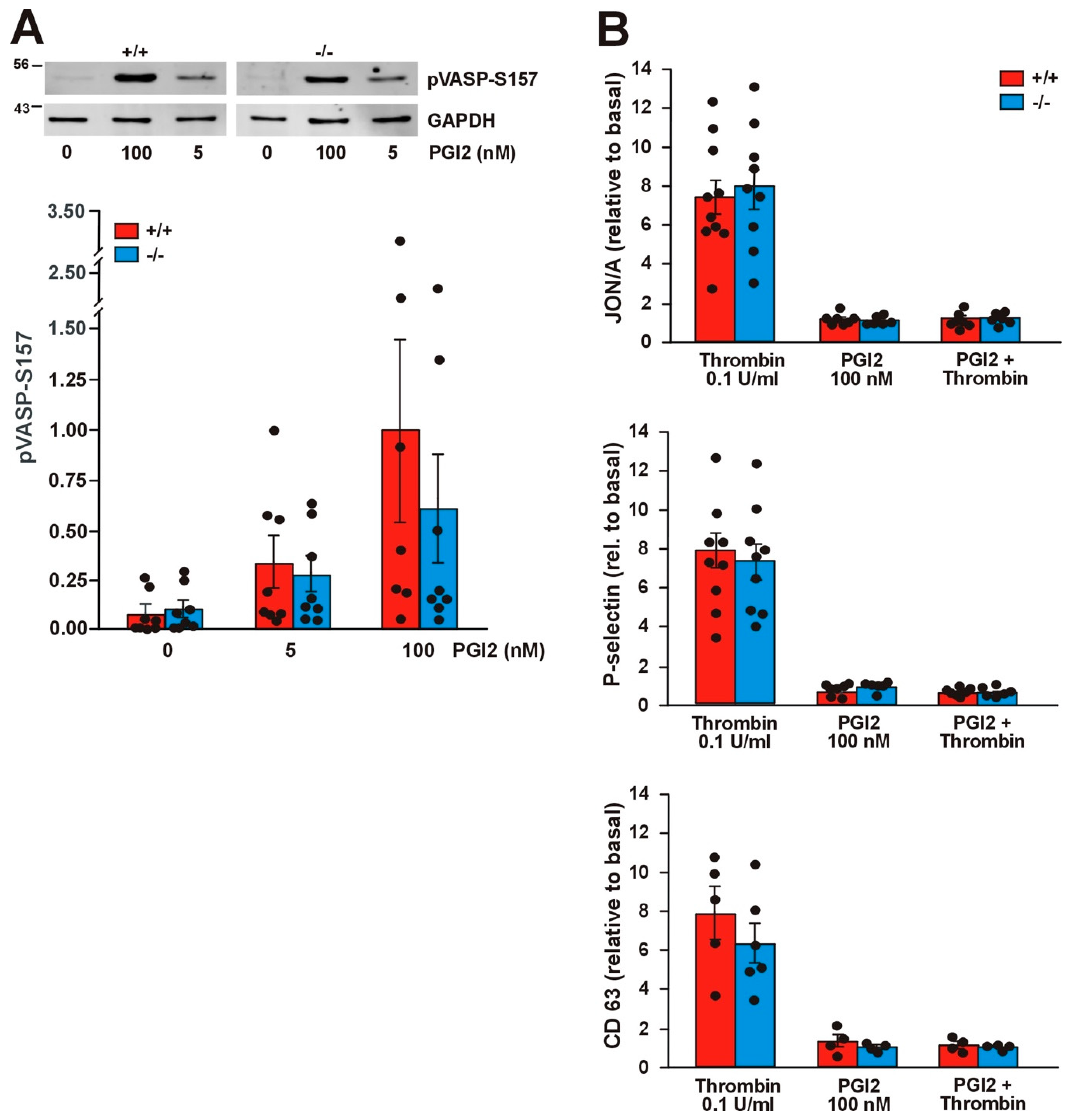 Ijms 21 00356 g007 Ijms 21 00356 g007