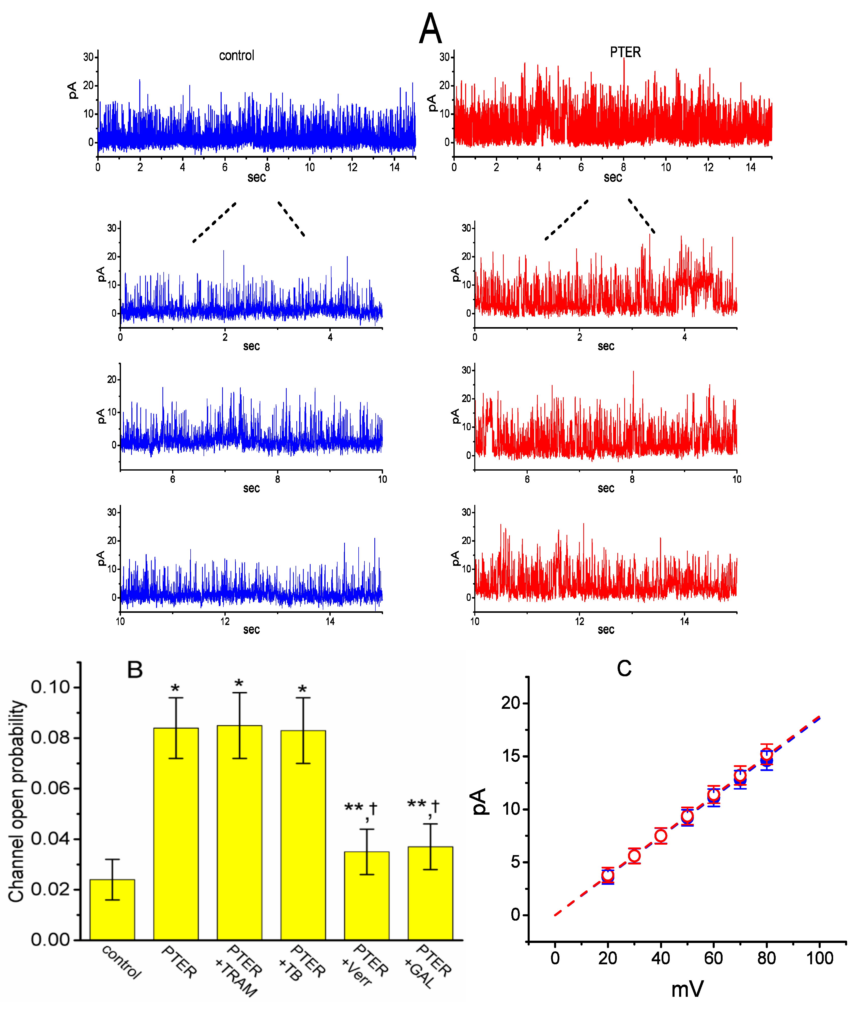 Ijms 21 00357 g007 Ijms 21 00357 g007