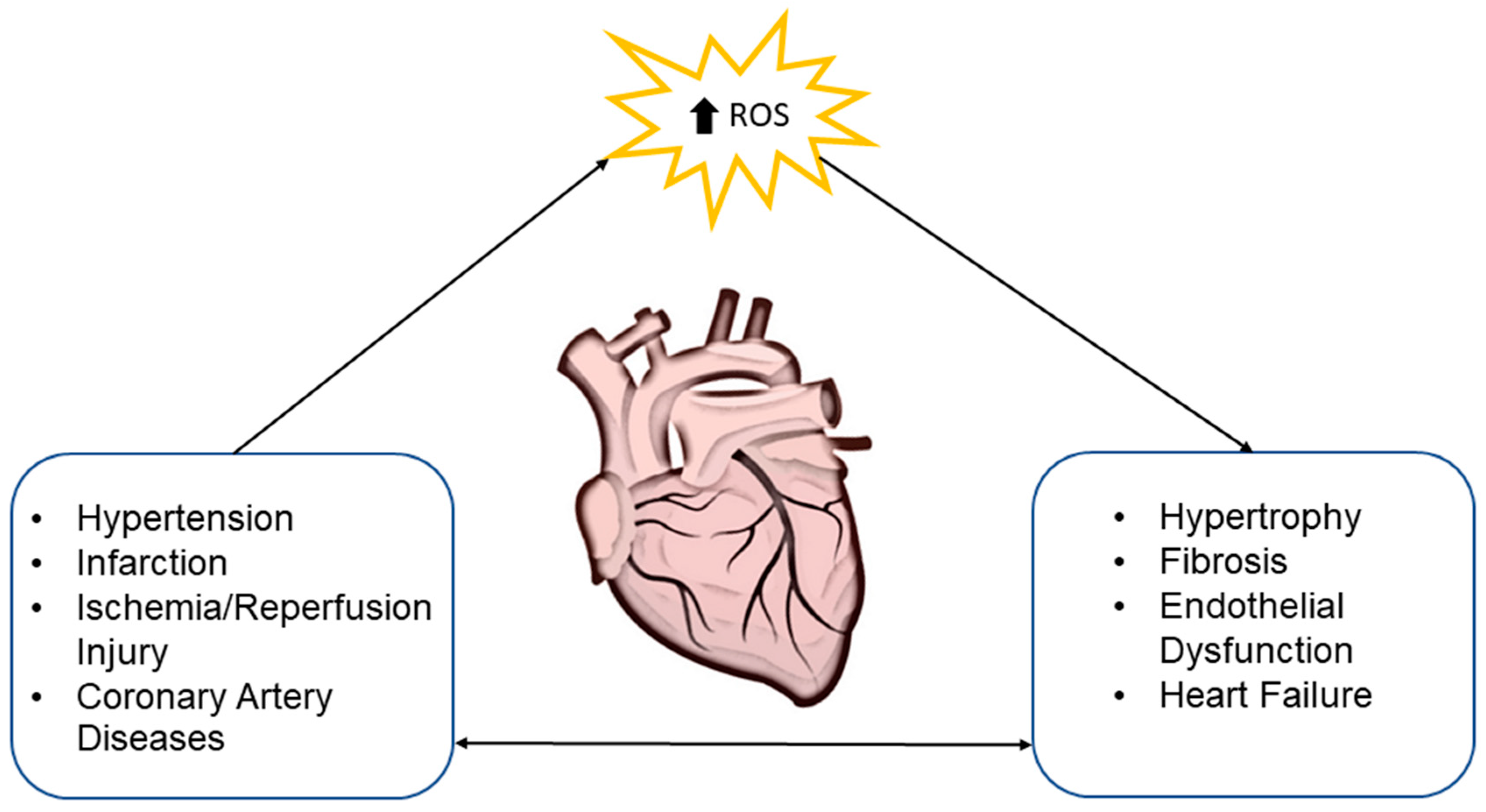 Ijms 21 00358 g001 Ijms 21 00358 g001