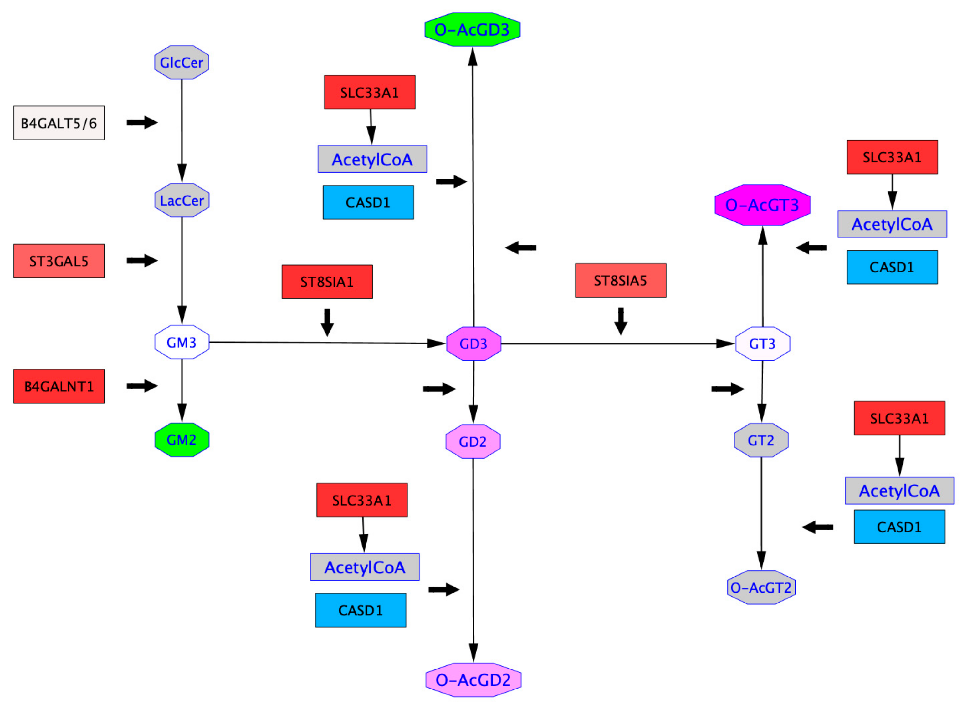 Ijms 21 00370 g006 Ijms 21 00370 g006