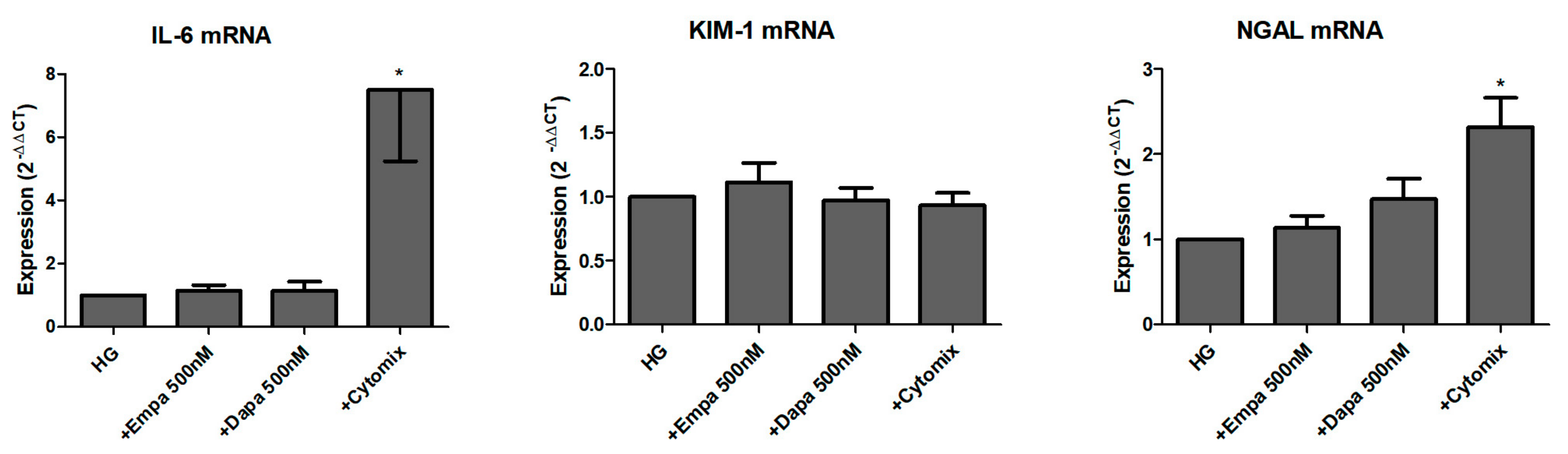 Ijms 21 00391 g006 Ijms 21 00391 g006