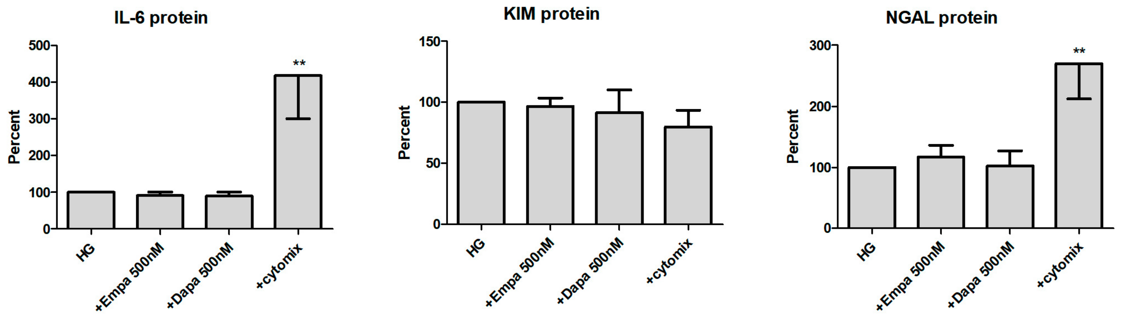 Ijms 21 00391 g007 Ijms 21 00391 g007
