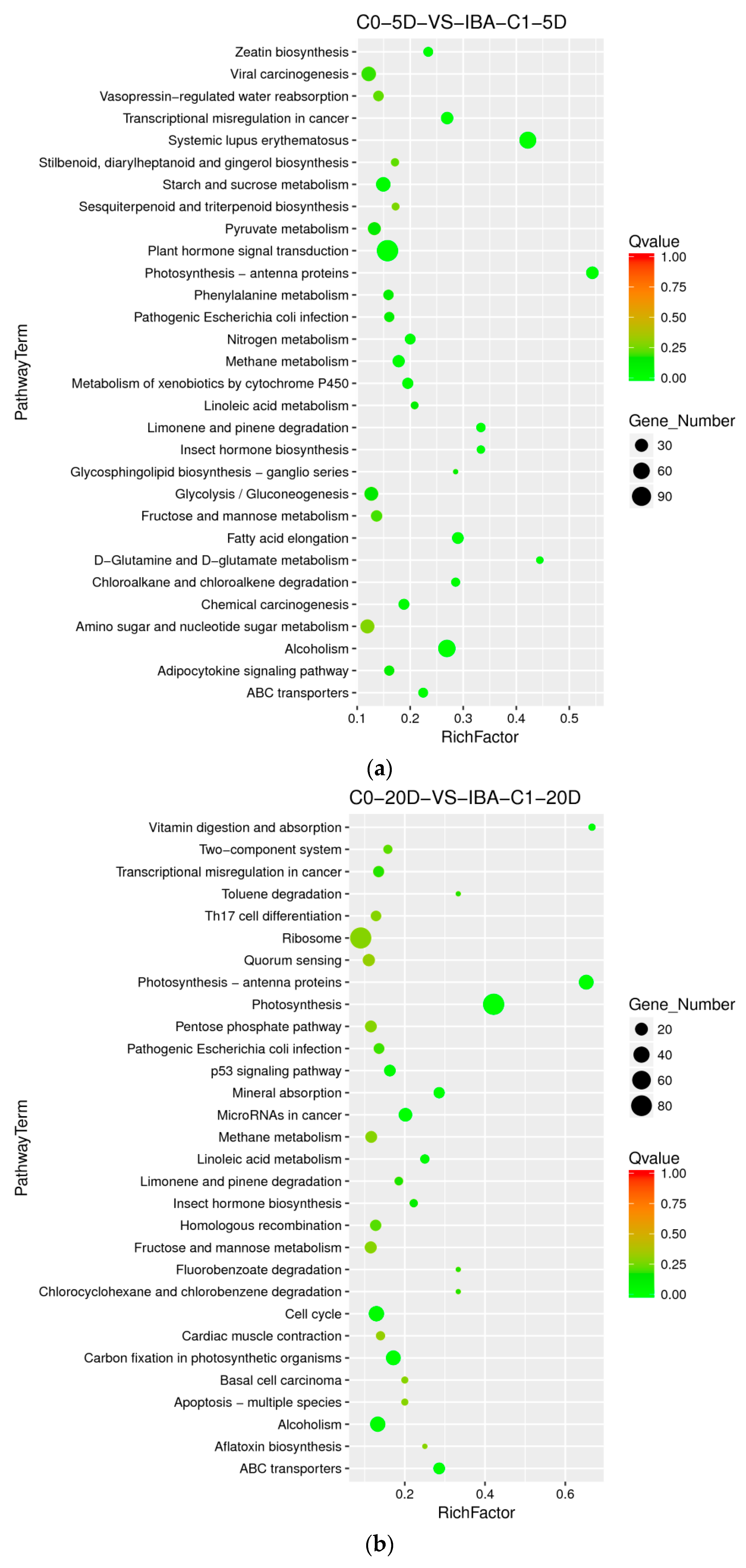Ijms 21 00426 g004 Ijms 21 00426 g004