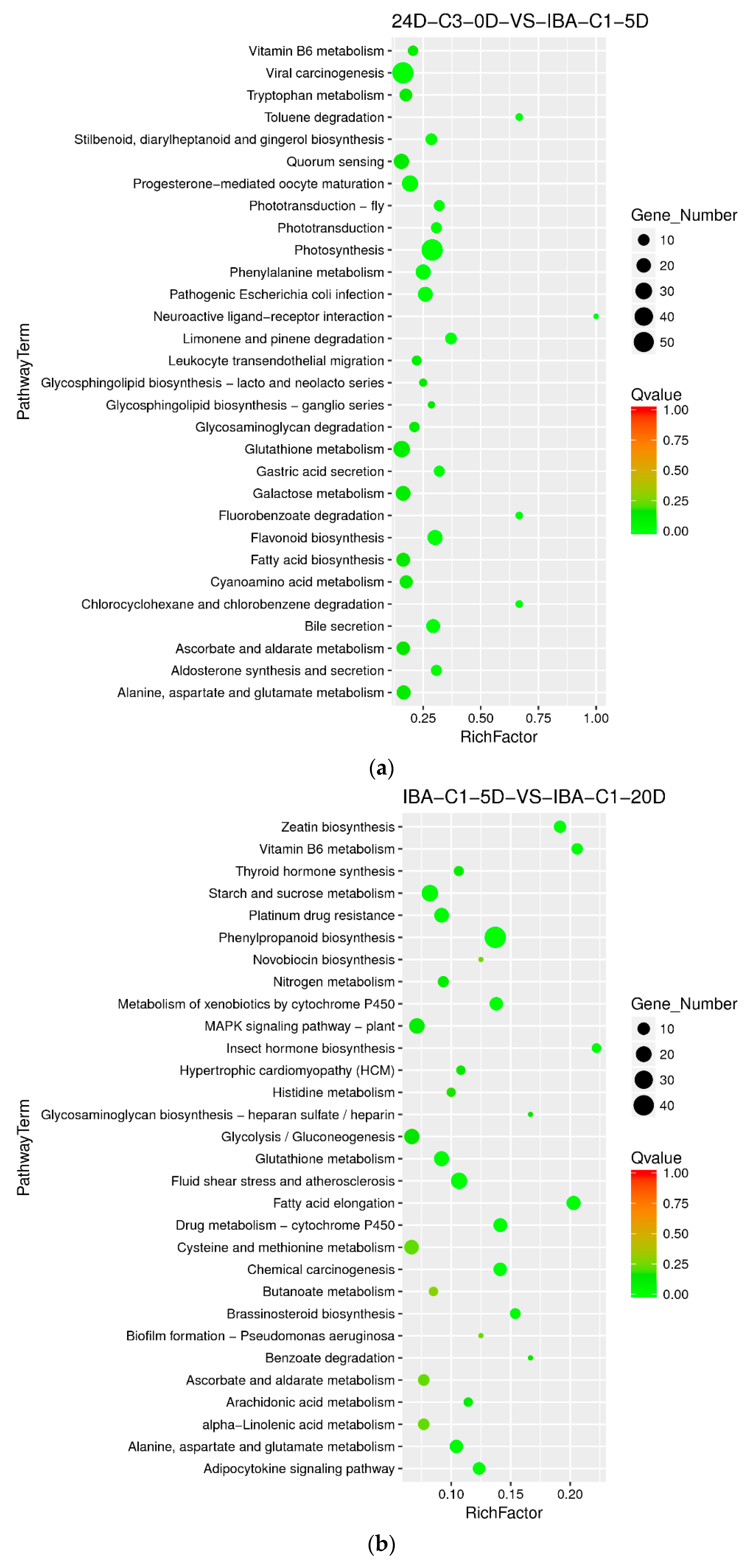 Ijms 21 00426 g006a Ijms 21 00426 g006a