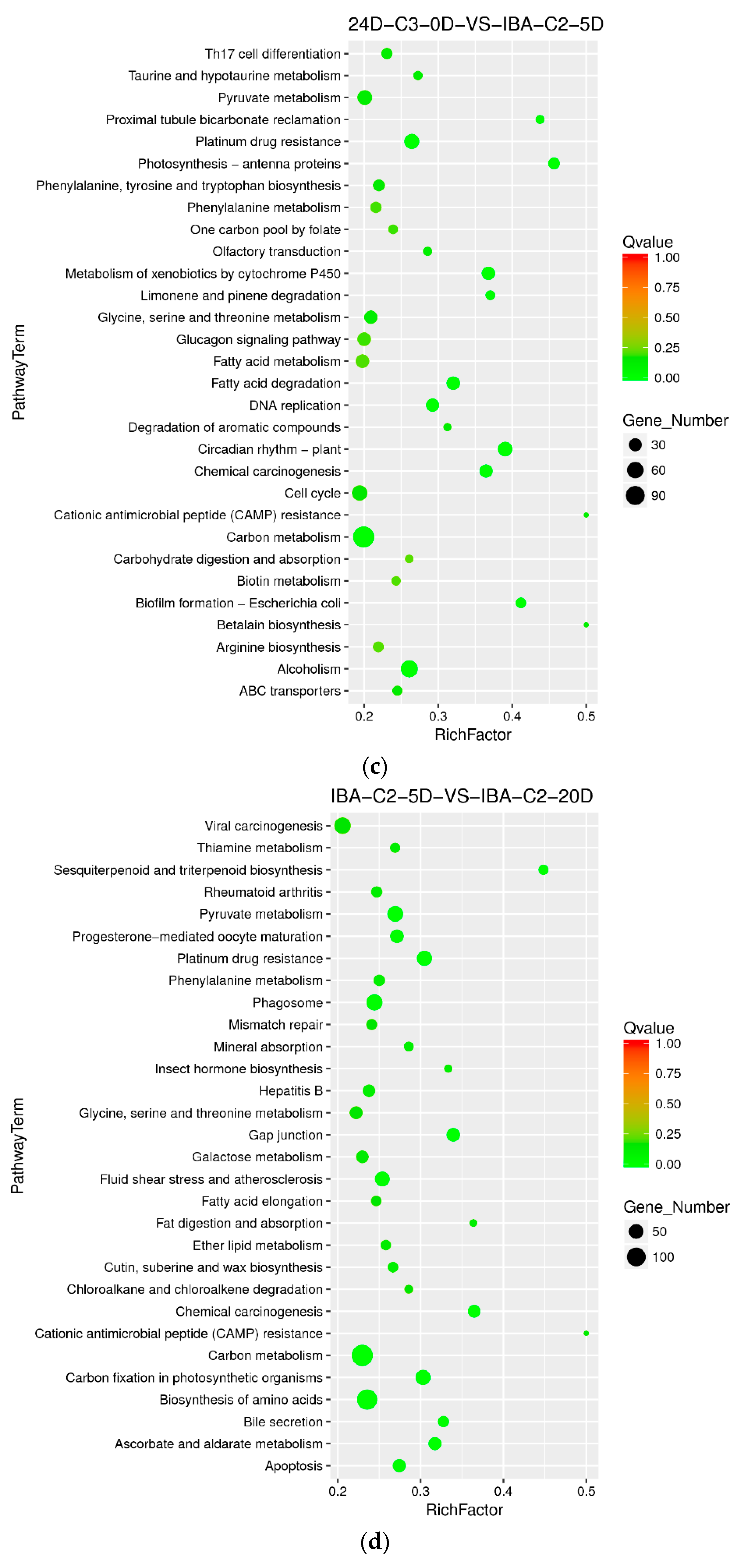 Ijms 21 00426 g006b Ijms 21 00426 g006b