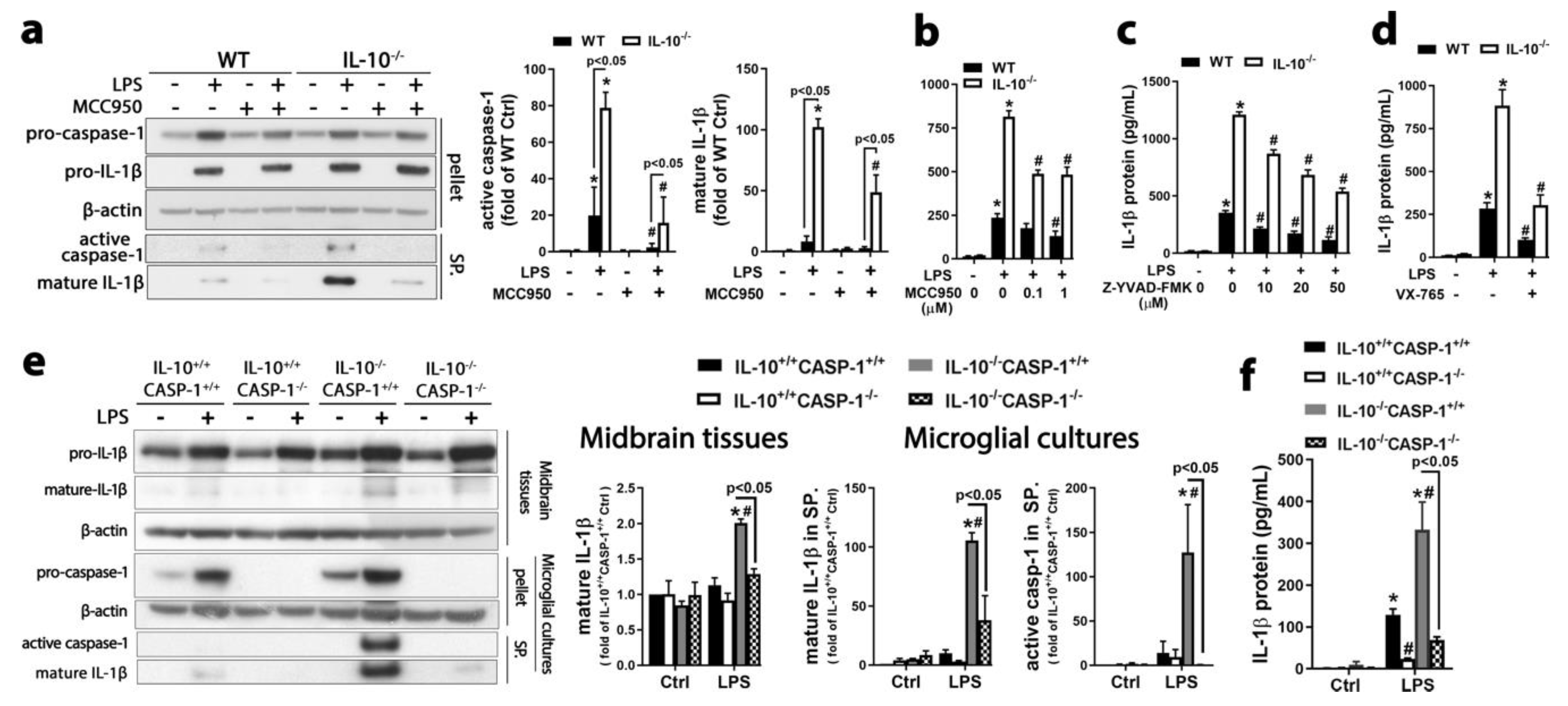 Ijms 21 00465 g002 Ijms 21 00465 g002