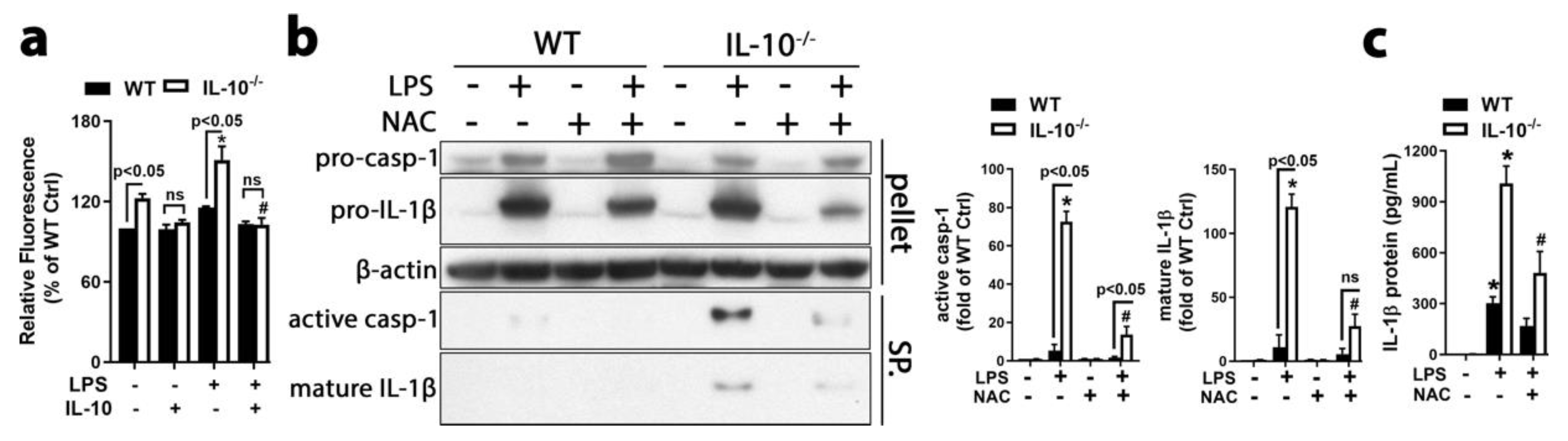 Ijms 21 00465 g003 Ijms 21 00465 g003
