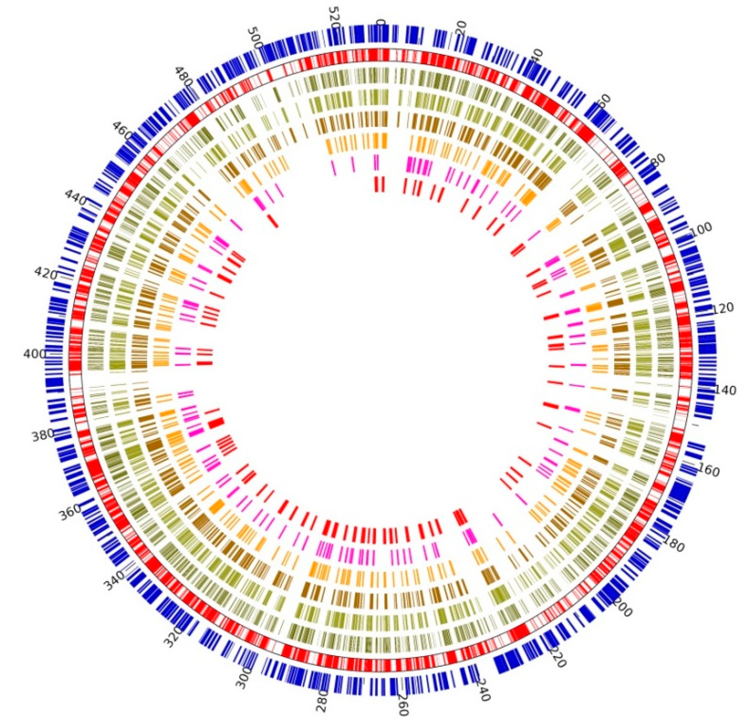 Ijms 21 00483 g002 Ijms 21 00483 g002
