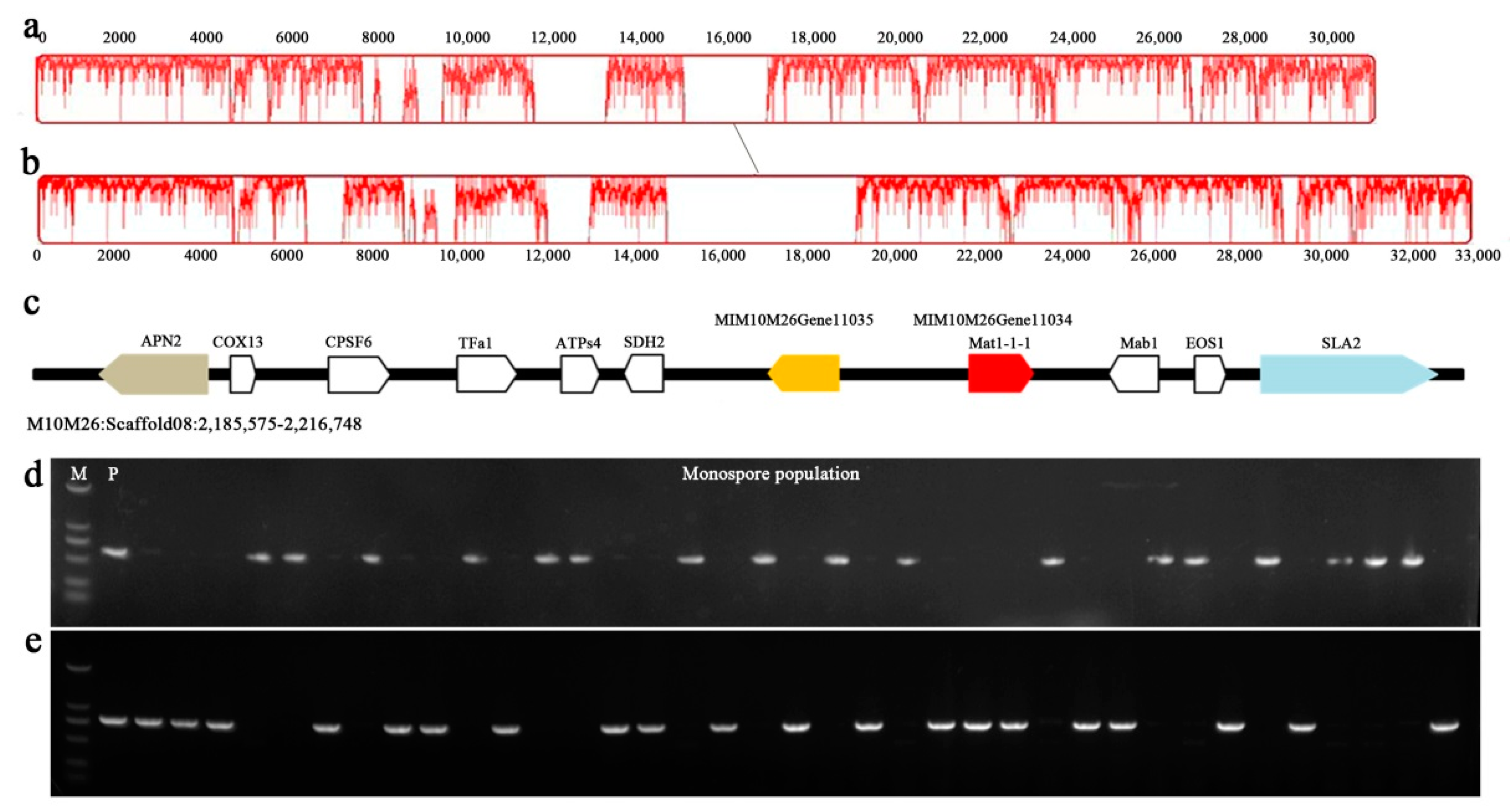 Ijms 21 00483 g003 Ijms 21 00483 g003